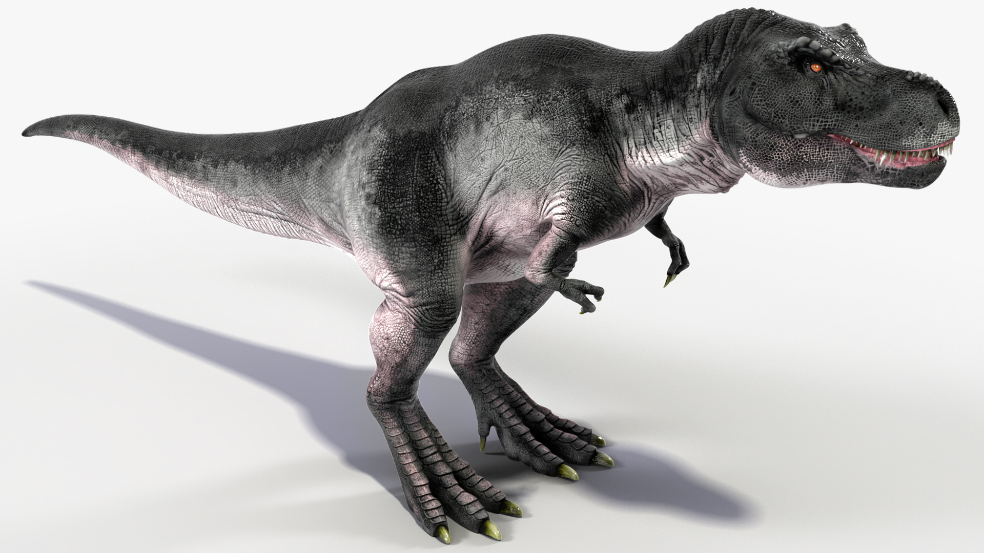 3D model T Rex Idle Animated Rigged for Maya