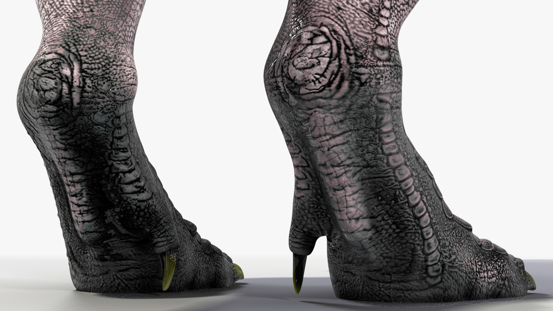 3D model T Rex Idle Animated Rigged for Maya