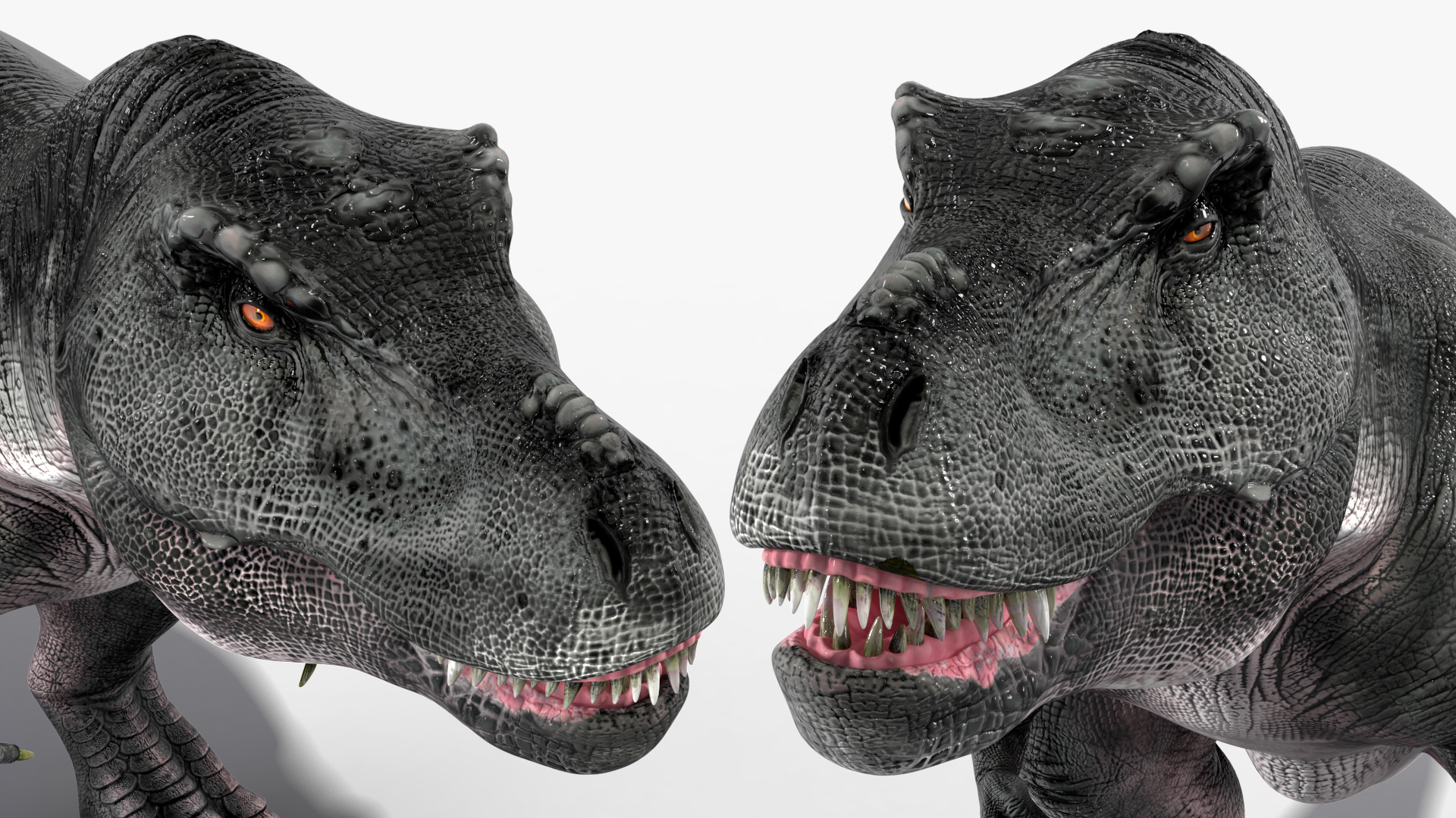3D model T Rex Idle Animated Rigged for Maya