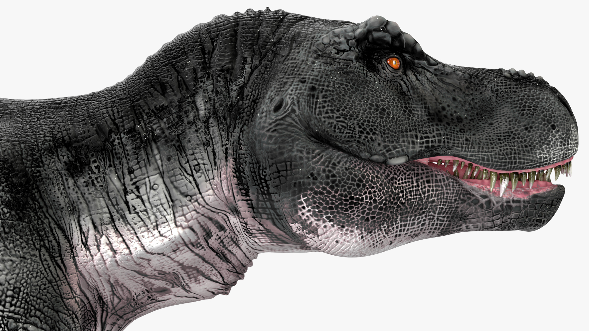 3D model T Rex Idle Animated Rigged for Maya