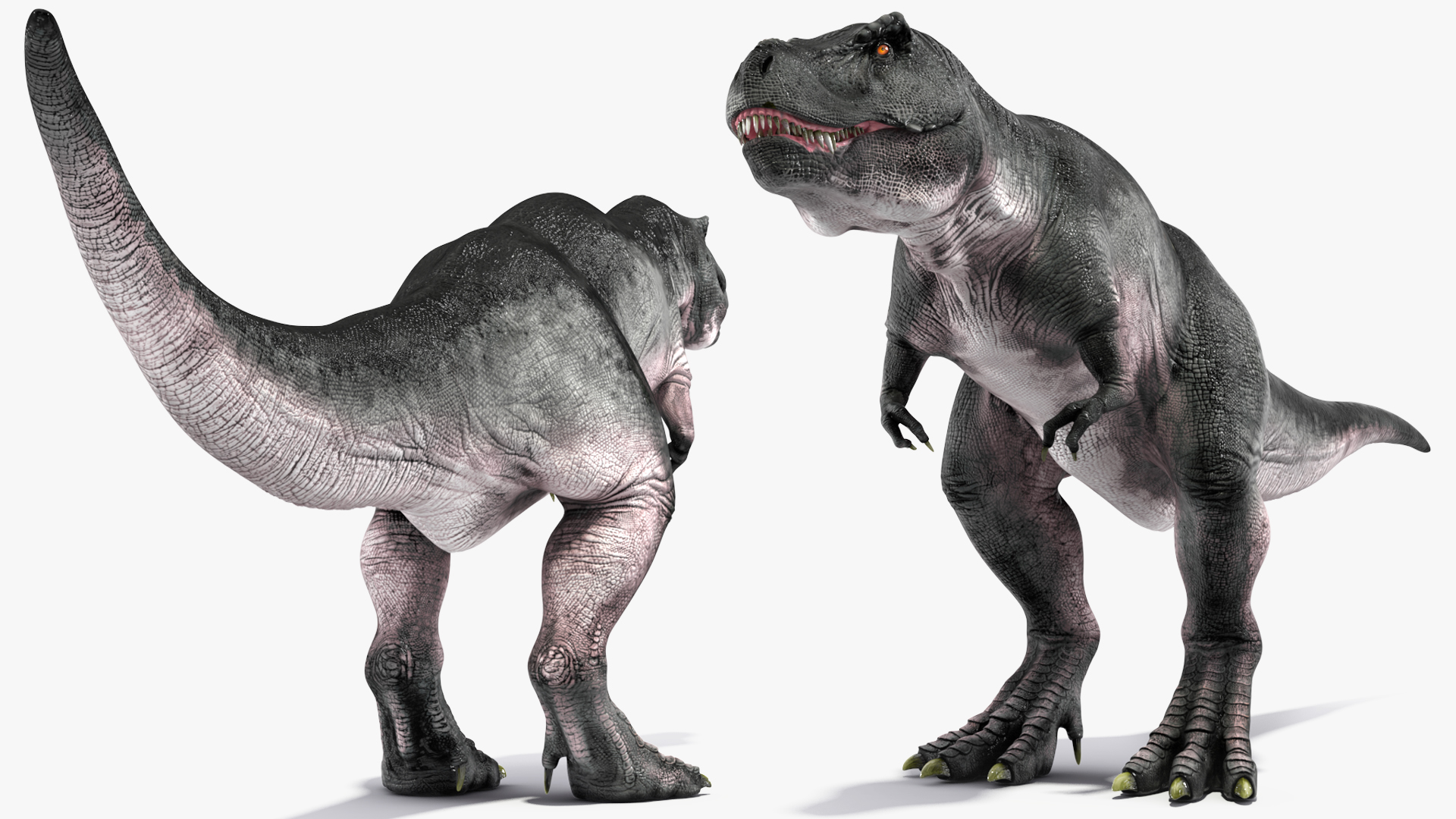 3D model T Rex Idle Animated Rigged for Maya