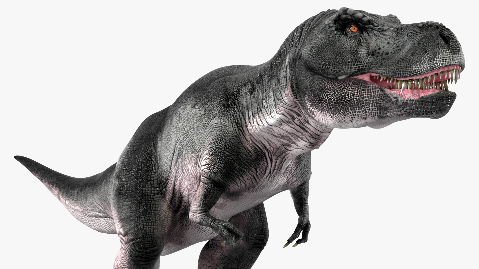 3D model T Rex Idle Animated Rigged for Maya