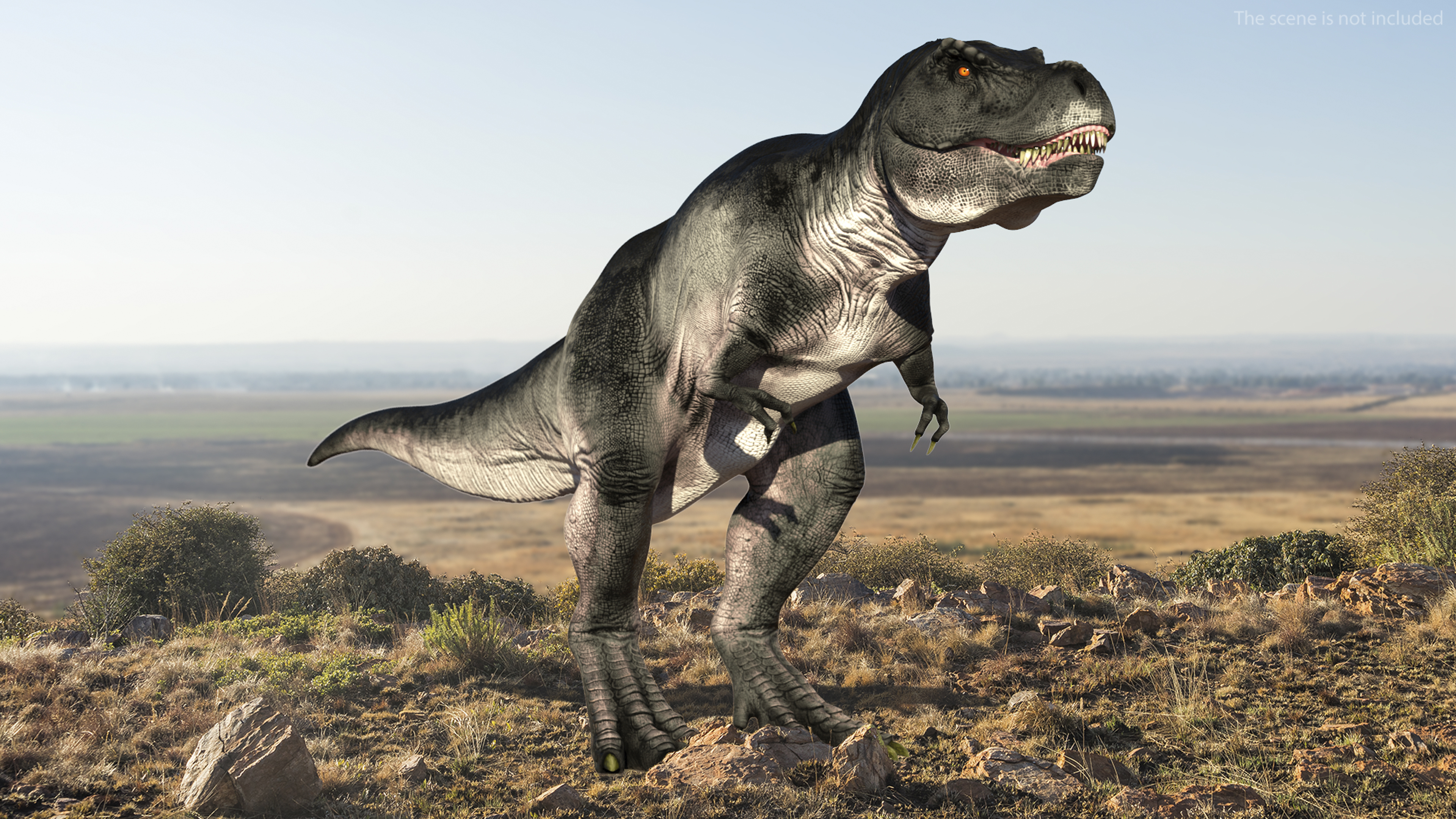 3D model T Rex Idle Animated Rigged for Maya