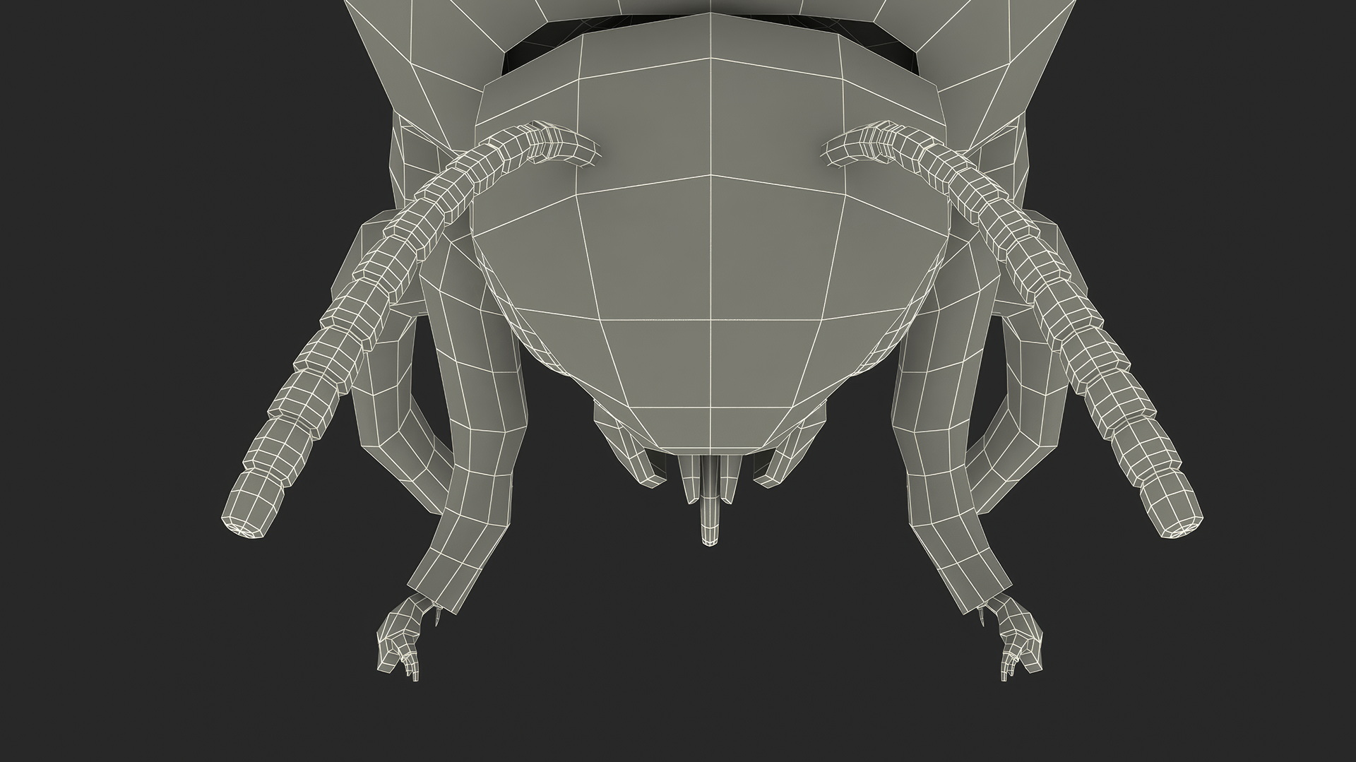 Realistic Bumblebee Insect Fur Rigged 3D