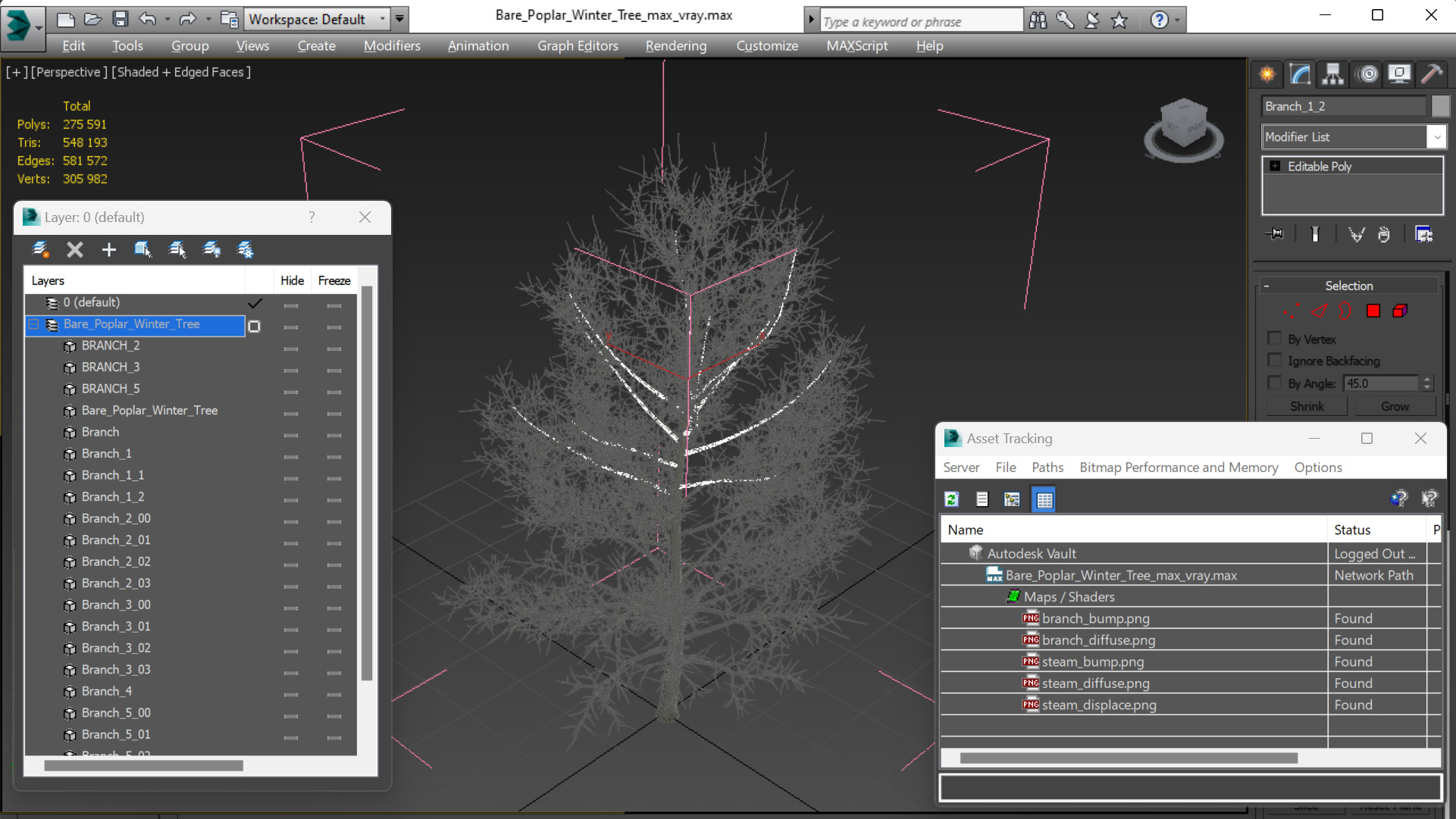 3D Bare Poplar Winter Tree model