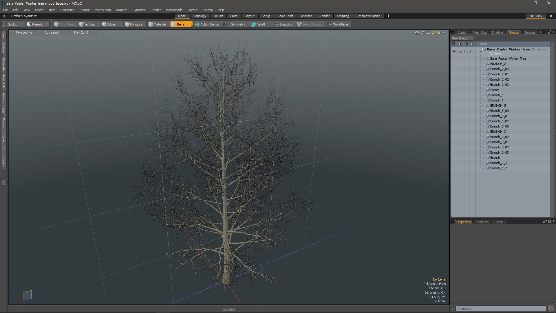 3D Bare Poplar Winter Tree model