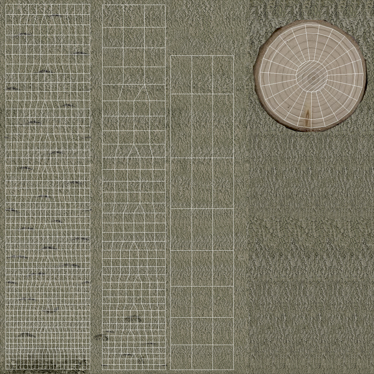 3D Bare Poplar Winter Tree model