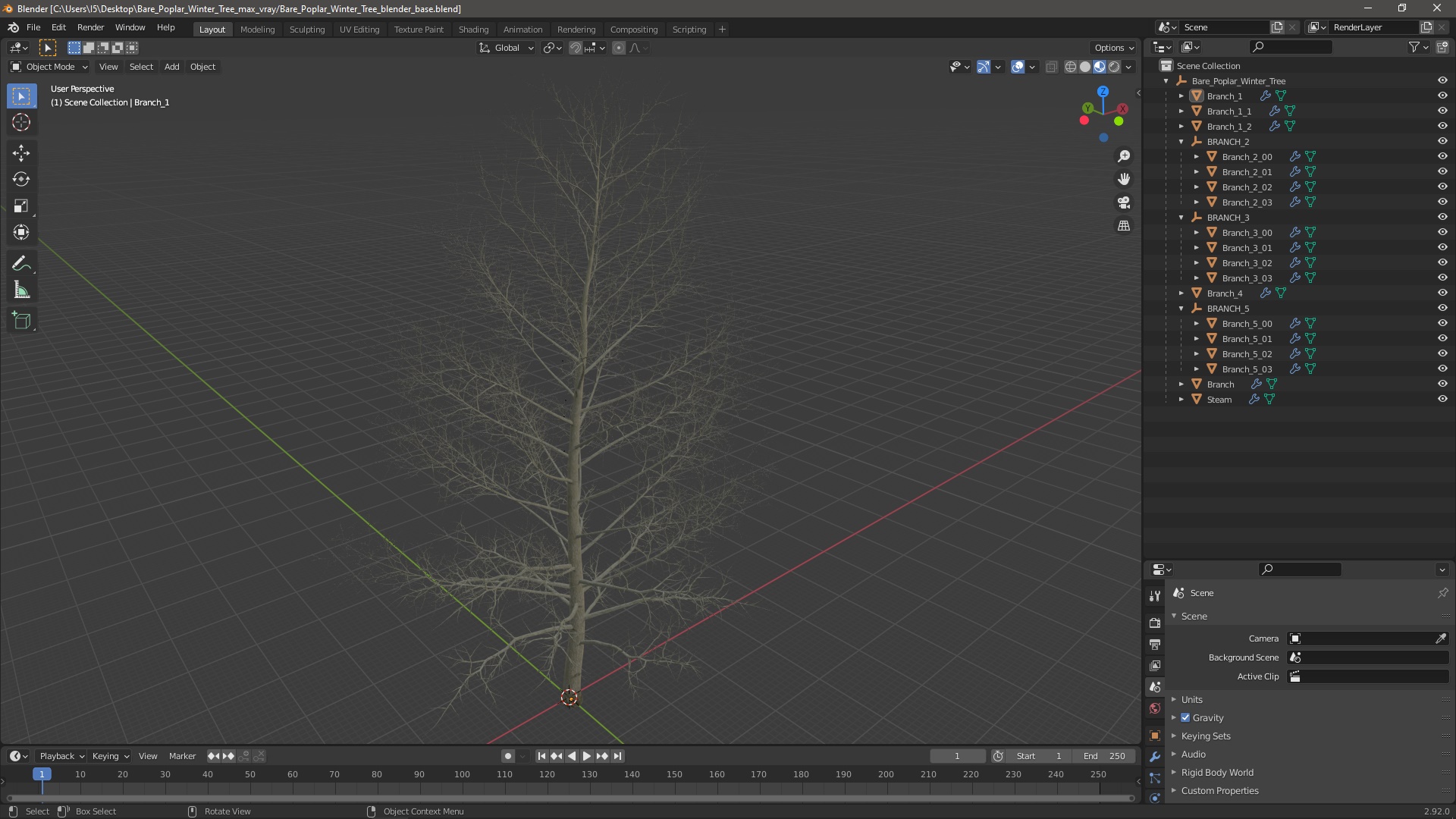 3D Bare Poplar Winter Tree model