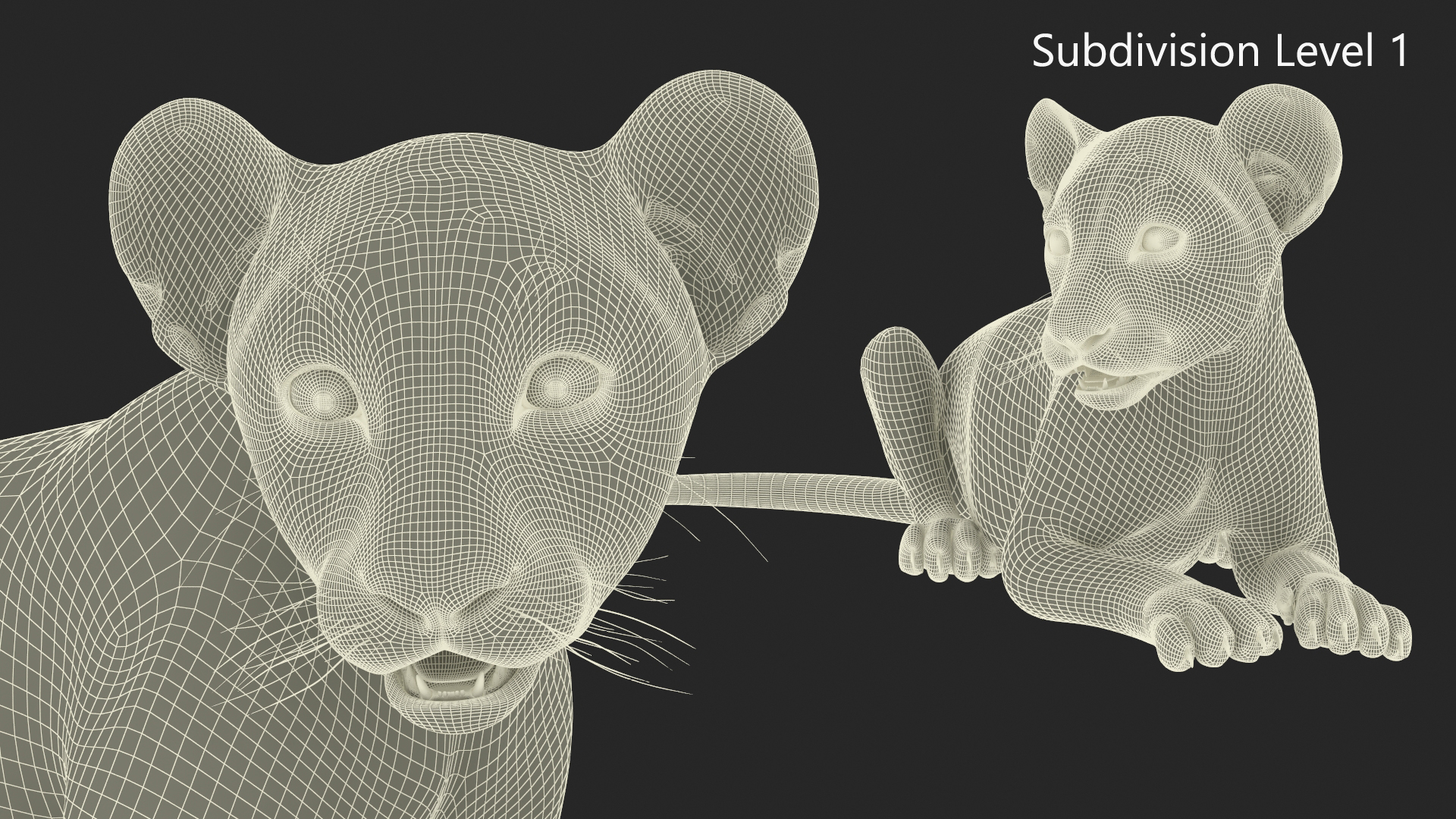 Lion Cub Lying Down 3D model