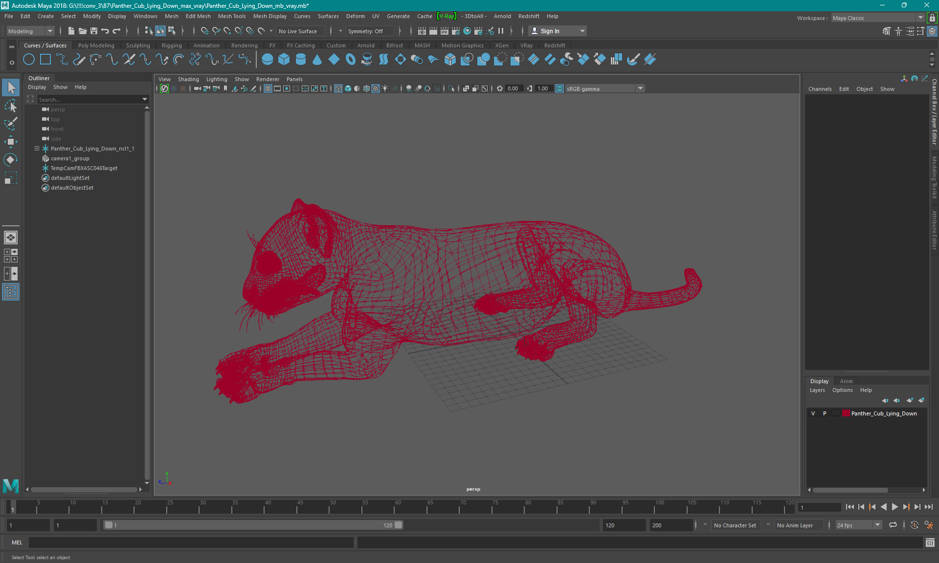 Lion Cub Lying Down 3D model