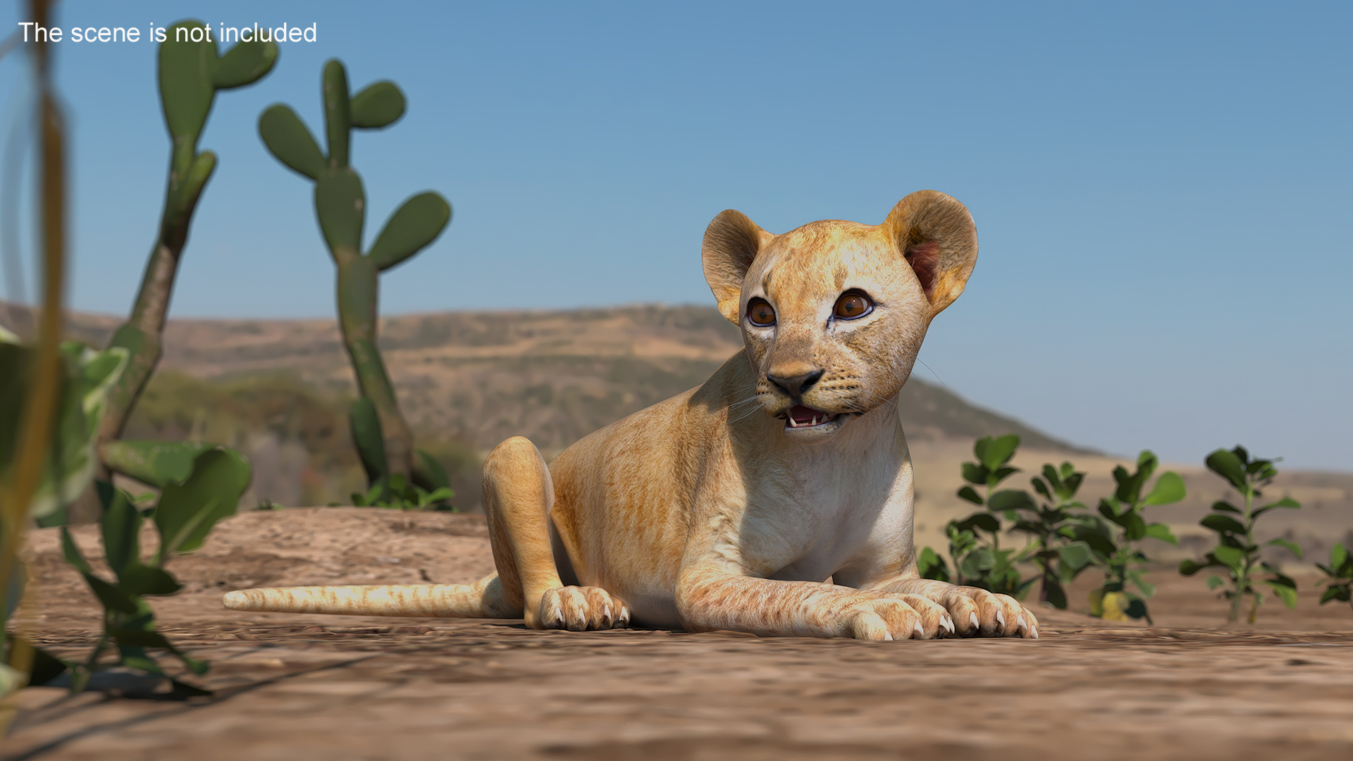 Lion Cub Lying Down 3D model