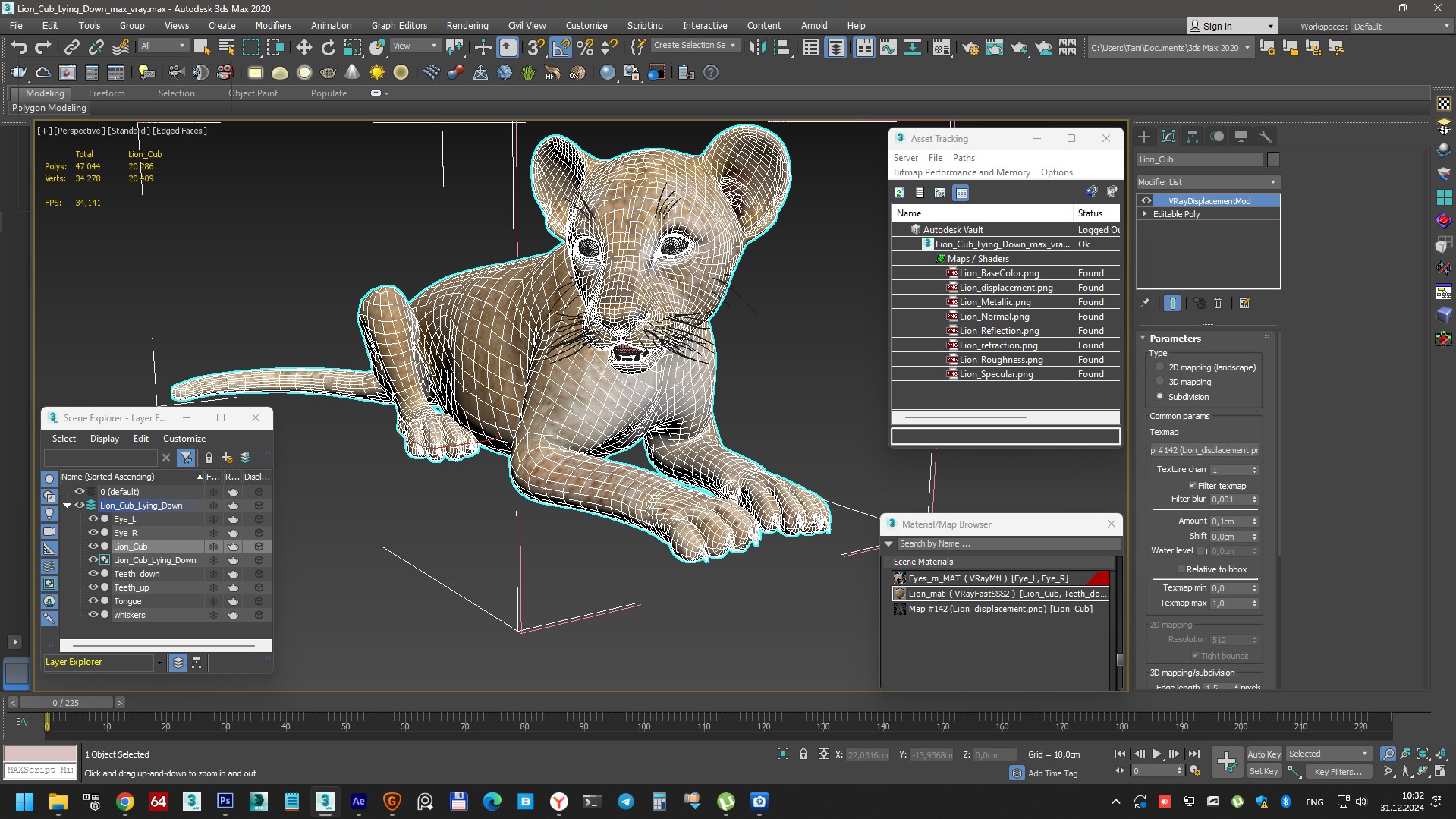 Lion Cub Lying Down 3D model
