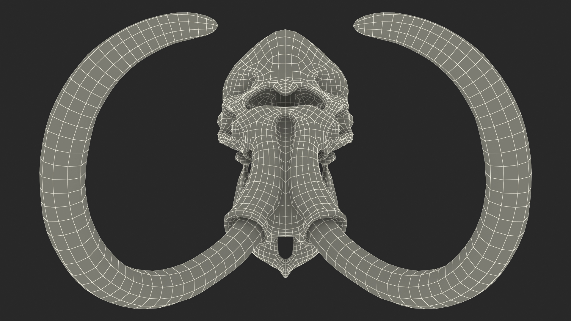 3D Mammoth Skull model
