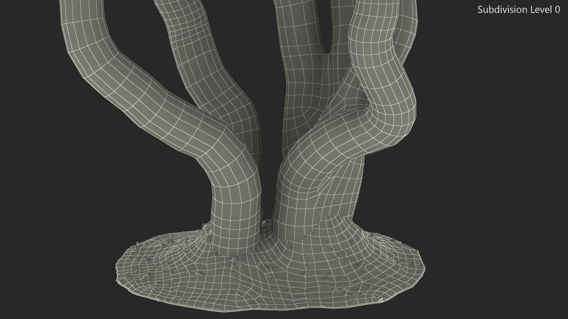 Pink Rhododendron Tree 3D