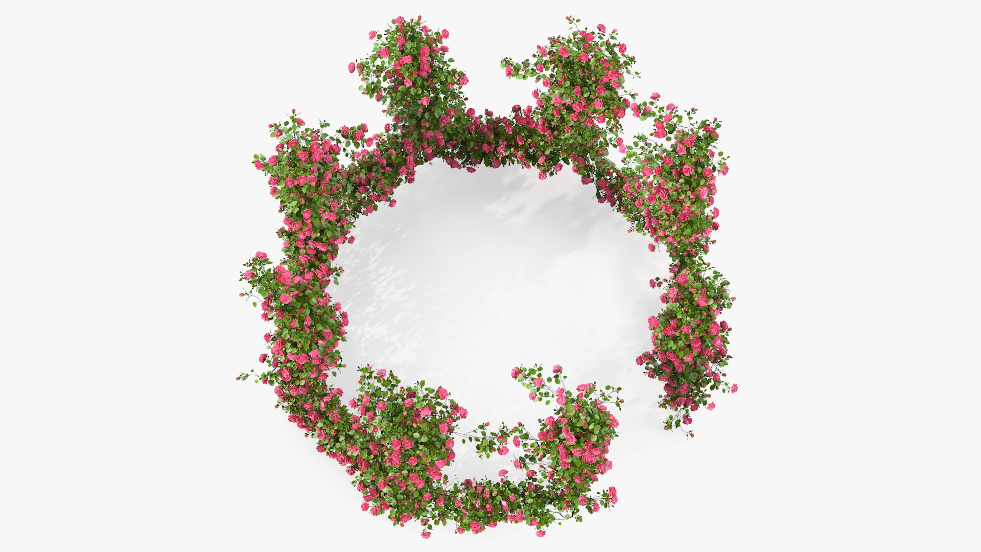 Pink Rose Bush 3D model