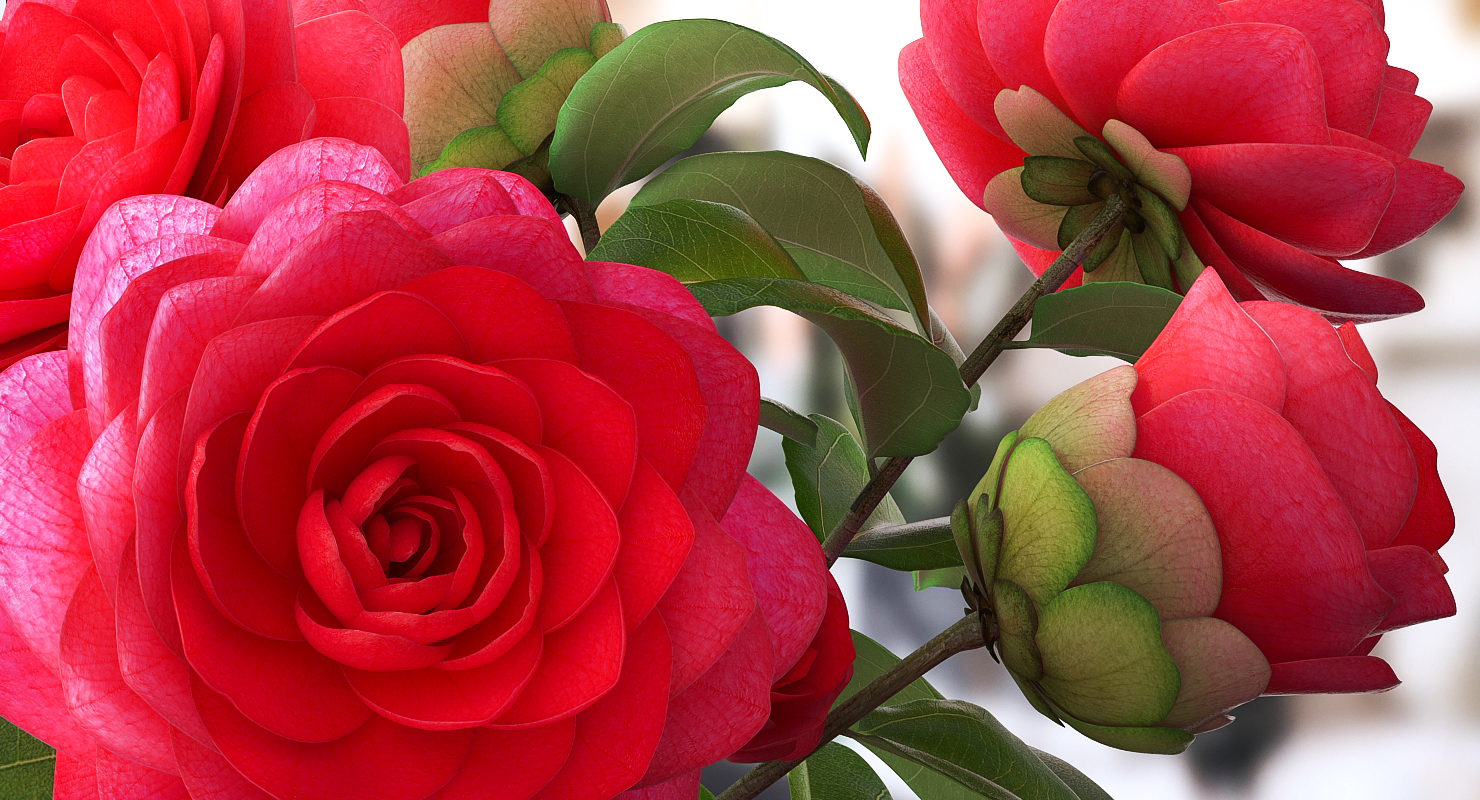 Flower Bouquet in Vase 3D
