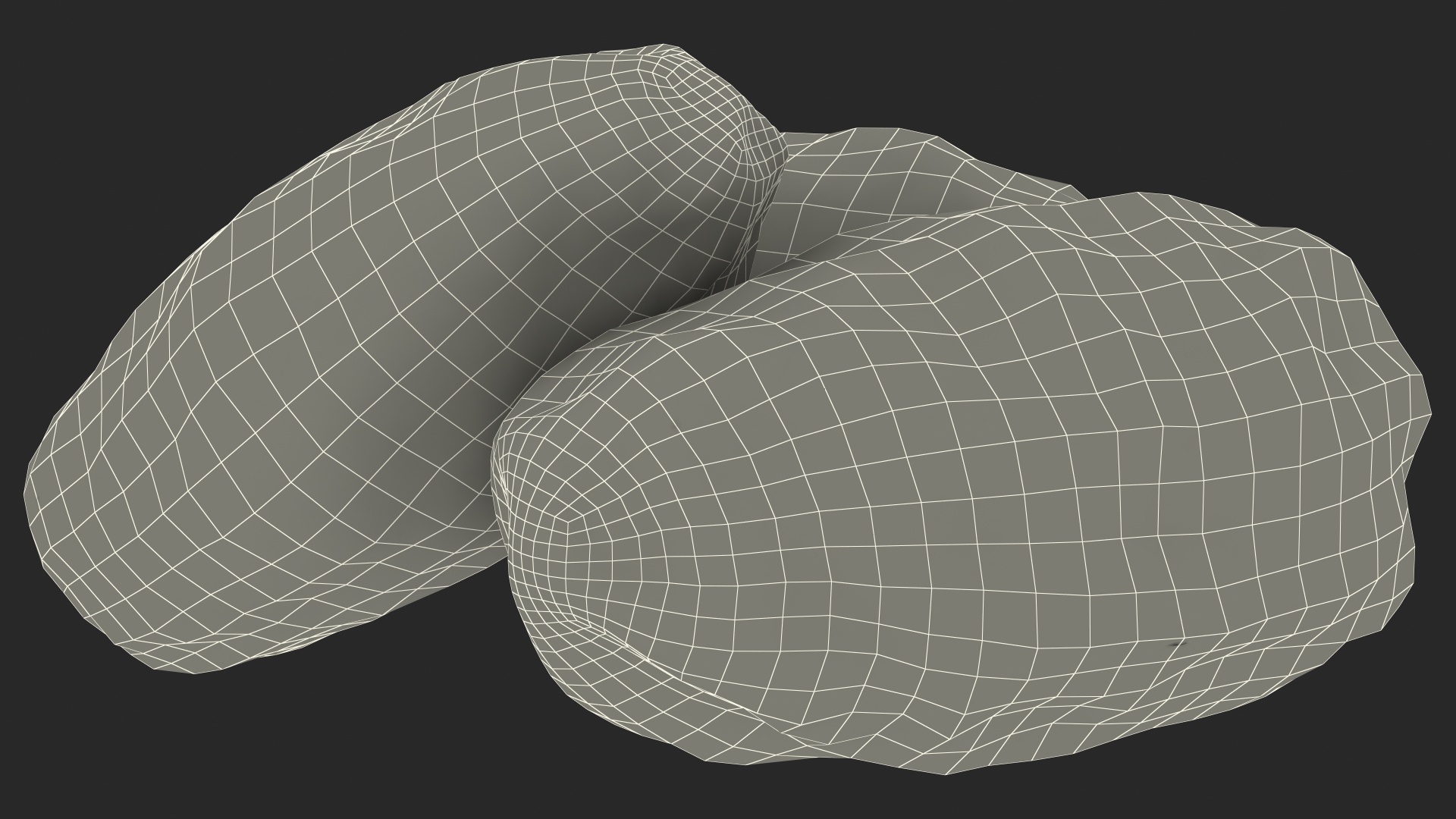 3D model Dried Date Fruit Set