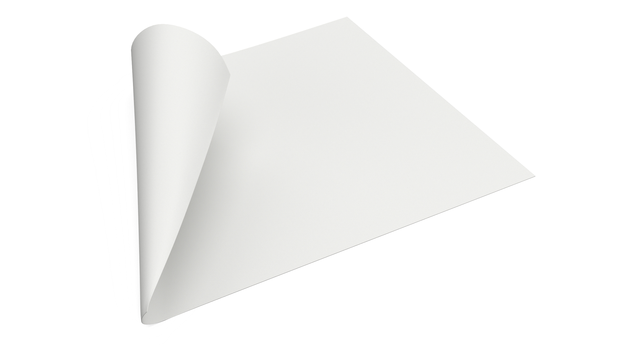 3D Curled Paper Sheet model