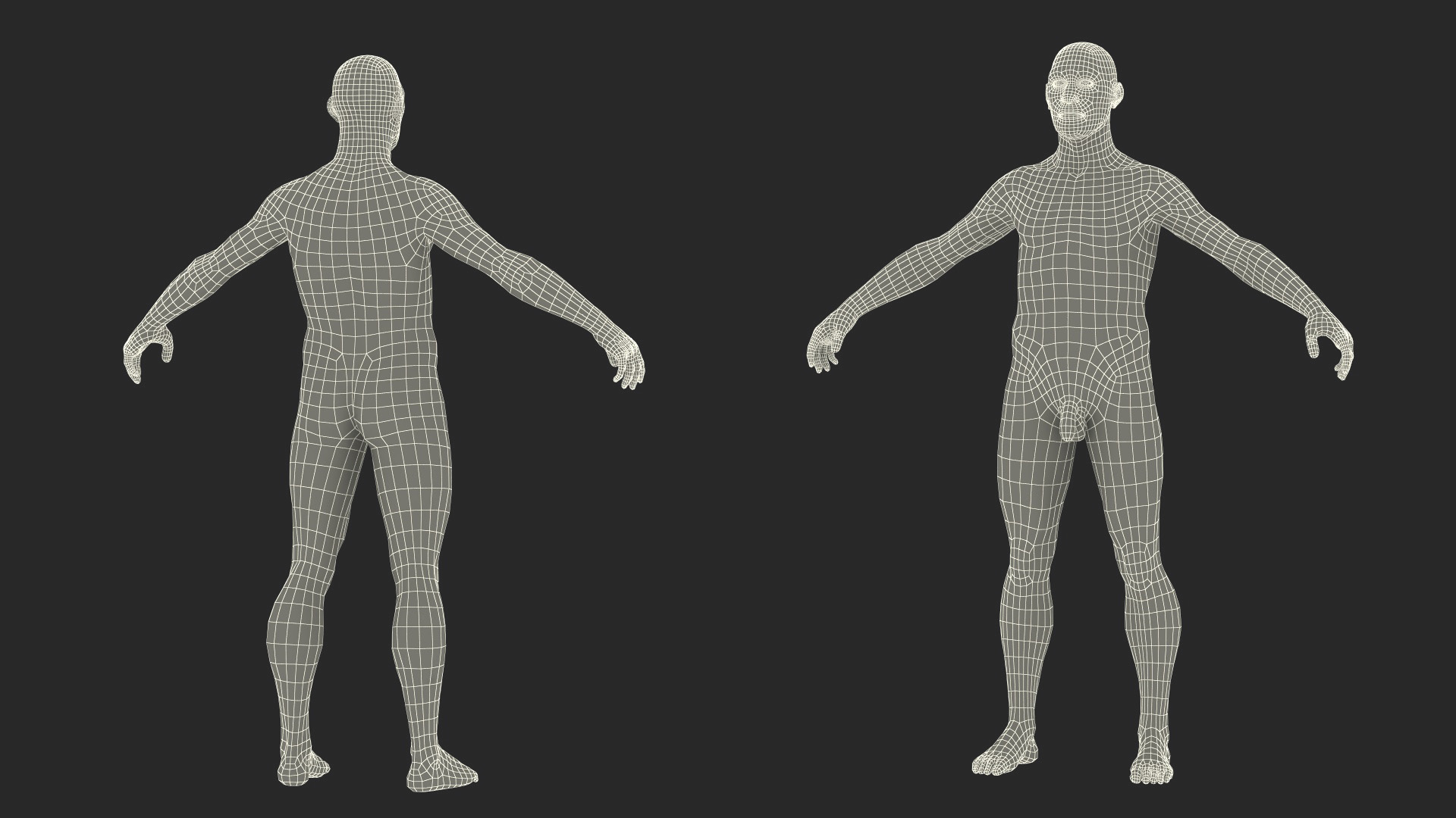 Cromagnon Man Rigged Fur 3D model