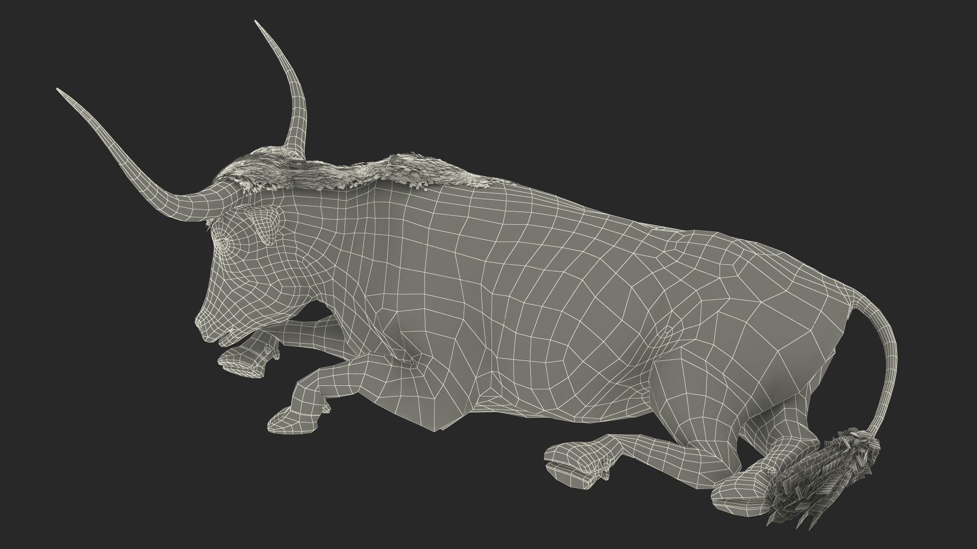 Lying Longhorn Bull Mottled Brown Fur 3D