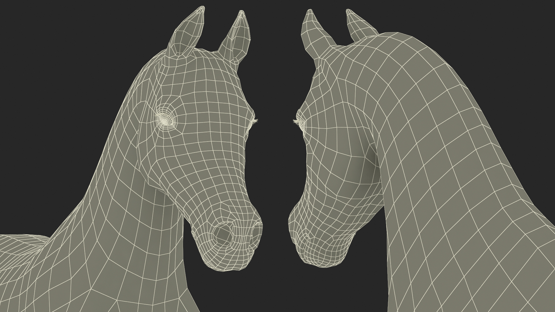 3D Walking Arabian Horse Black Fur