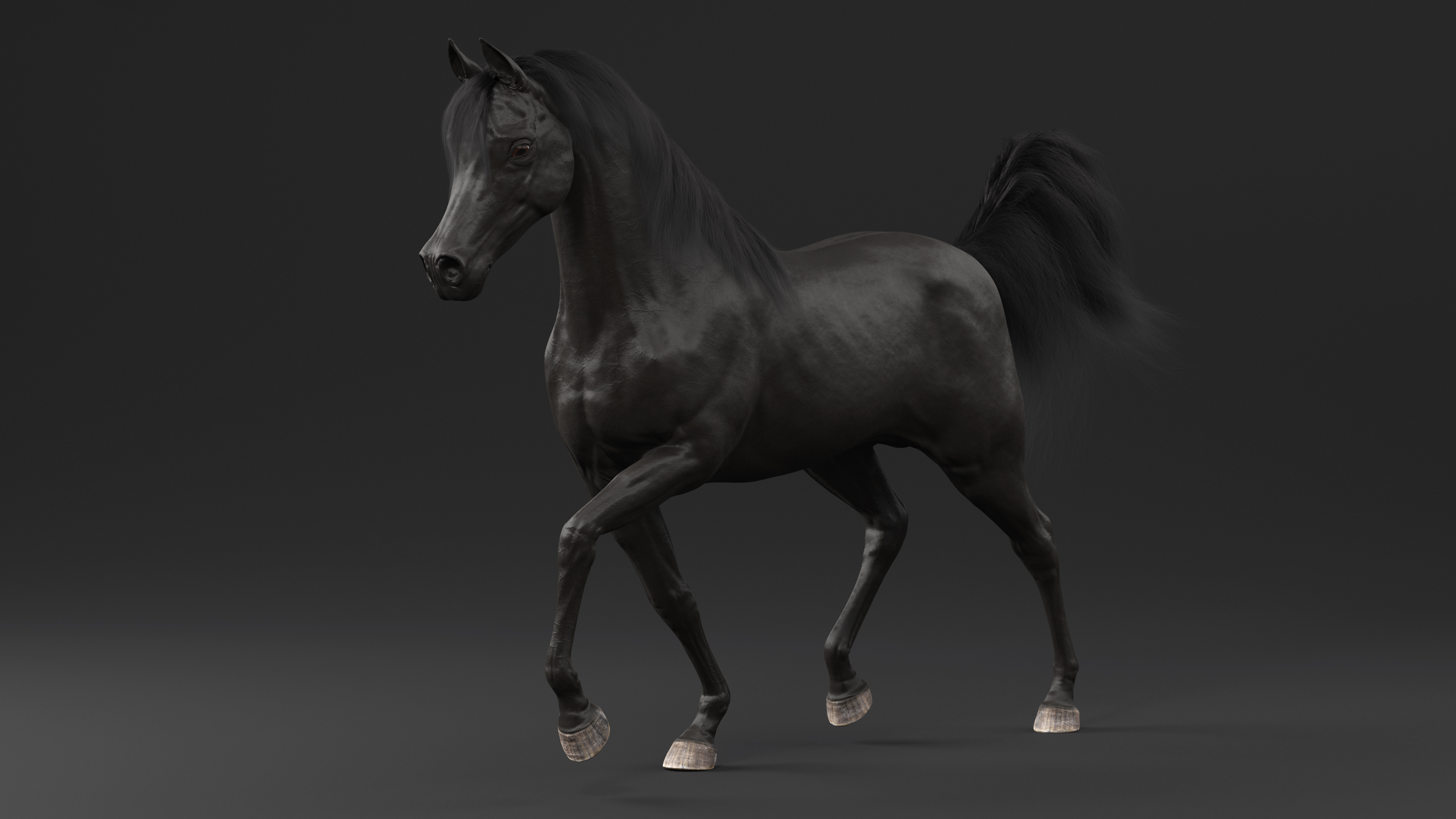 3D Walking Arabian Horse Black Fur
