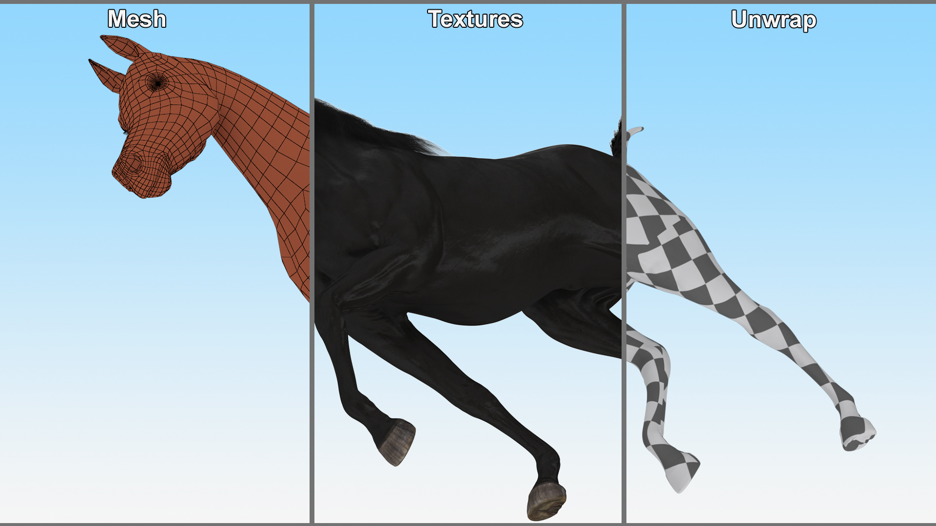 3D Walking Arabian Horse Black Fur