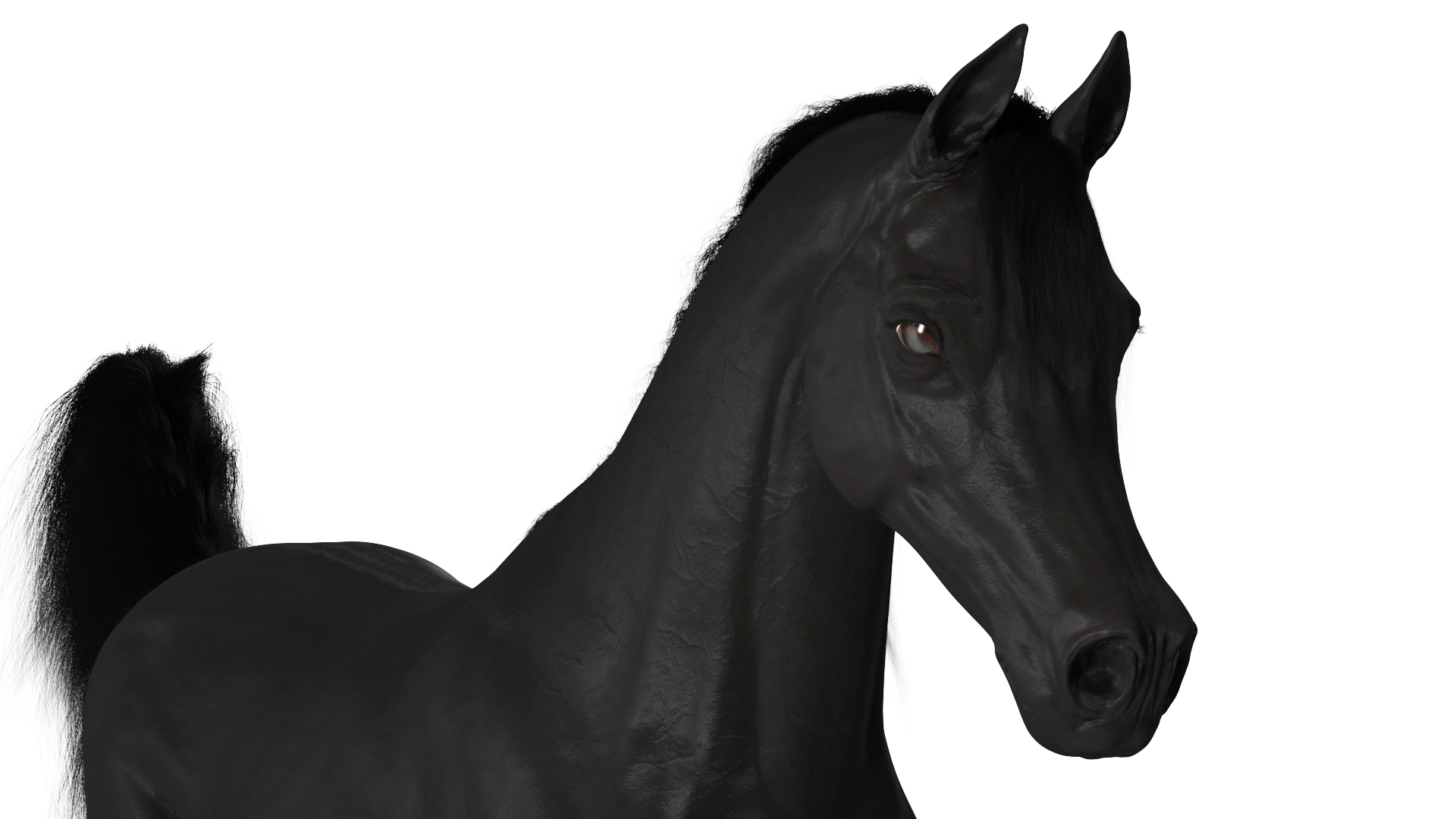 3D Walking Arabian Horse Black Fur