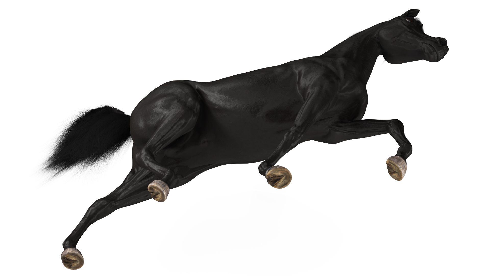 3D Walking Arabian Horse Black Fur