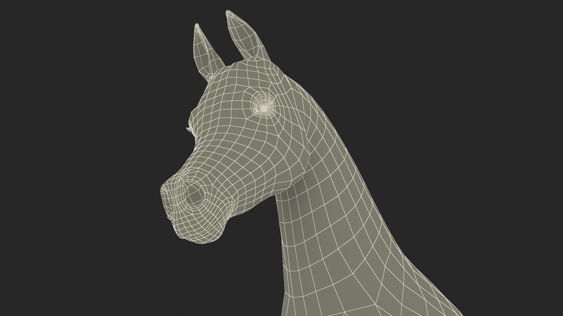 3D Walking Arabian Horse Black Fur