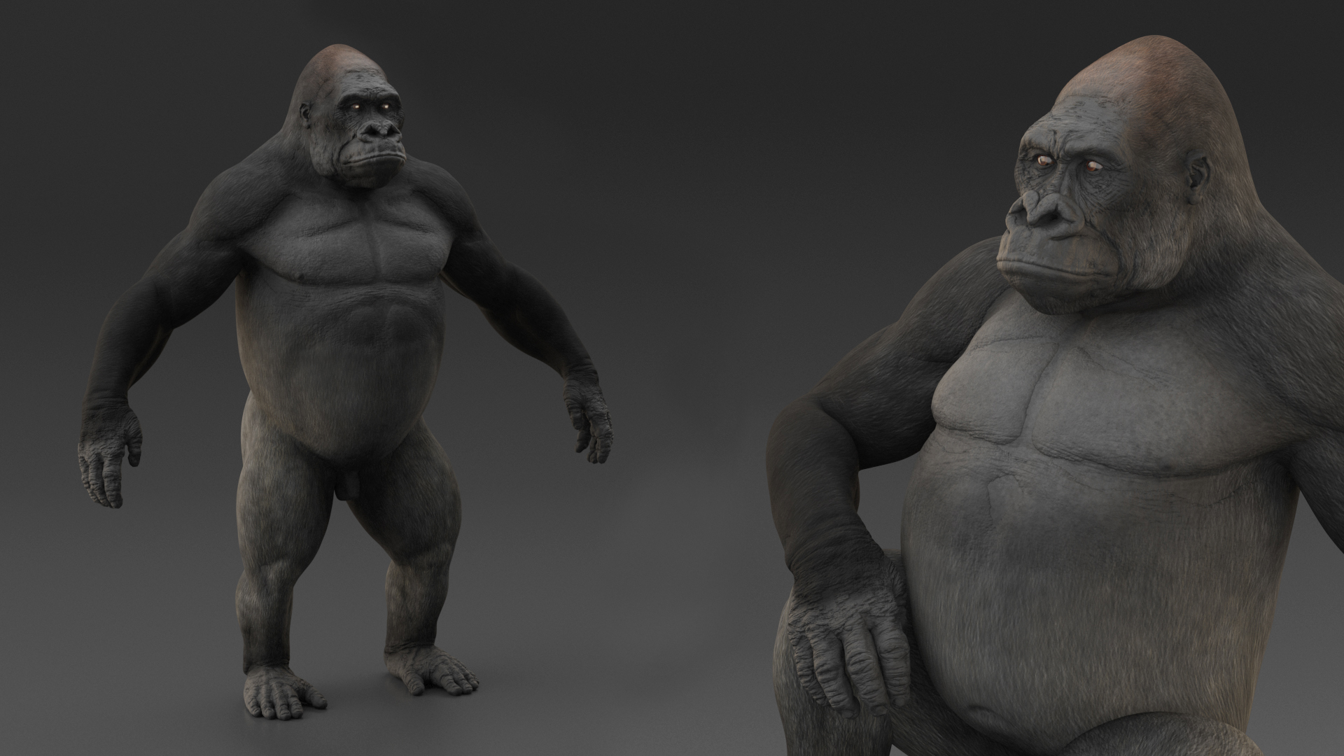 3D Western Gorilla Rigged for Maya