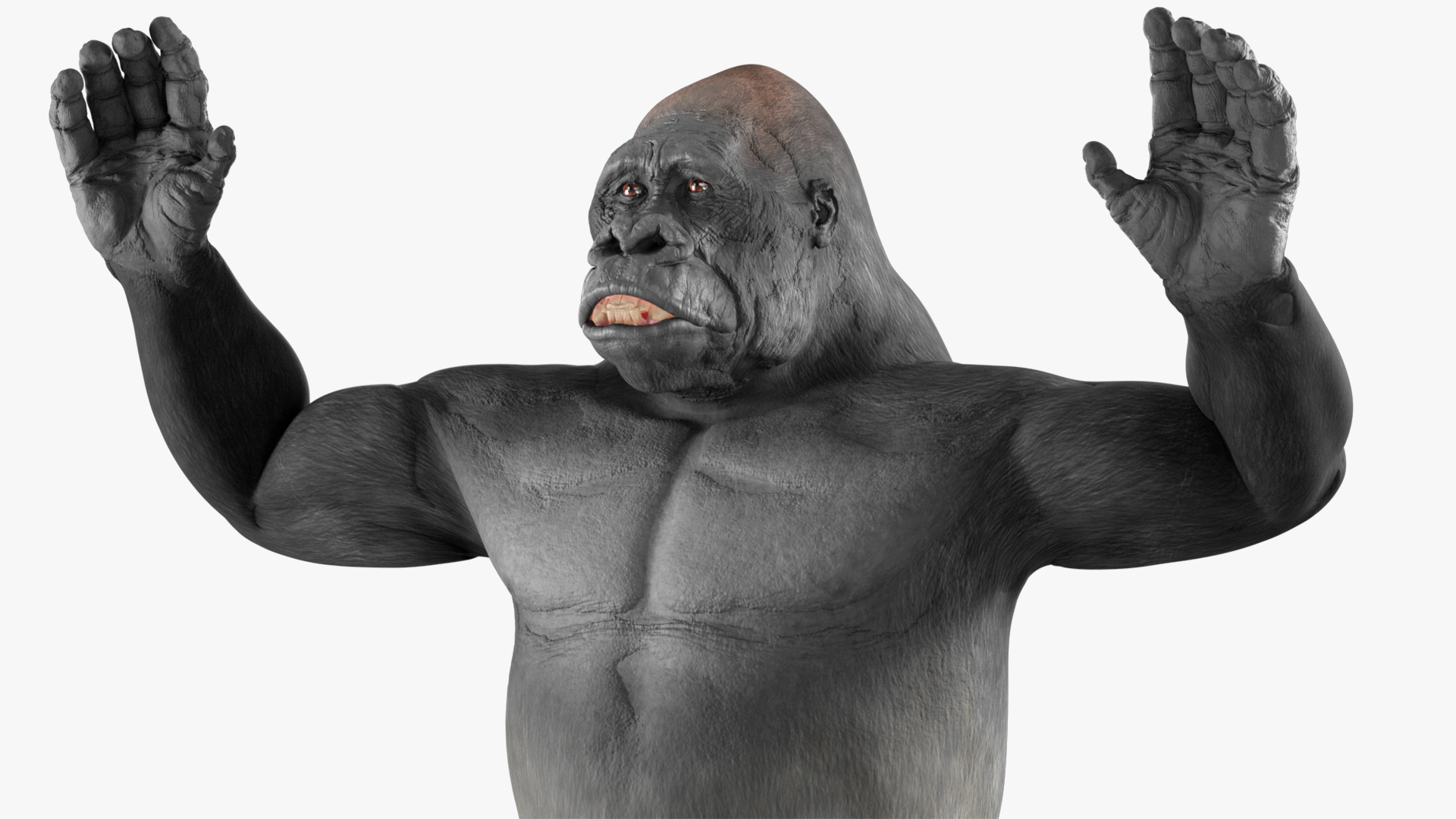 3D Western Gorilla Rigged for Maya