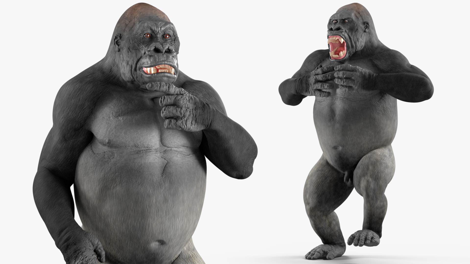 3D Western Gorilla Rigged for Maya