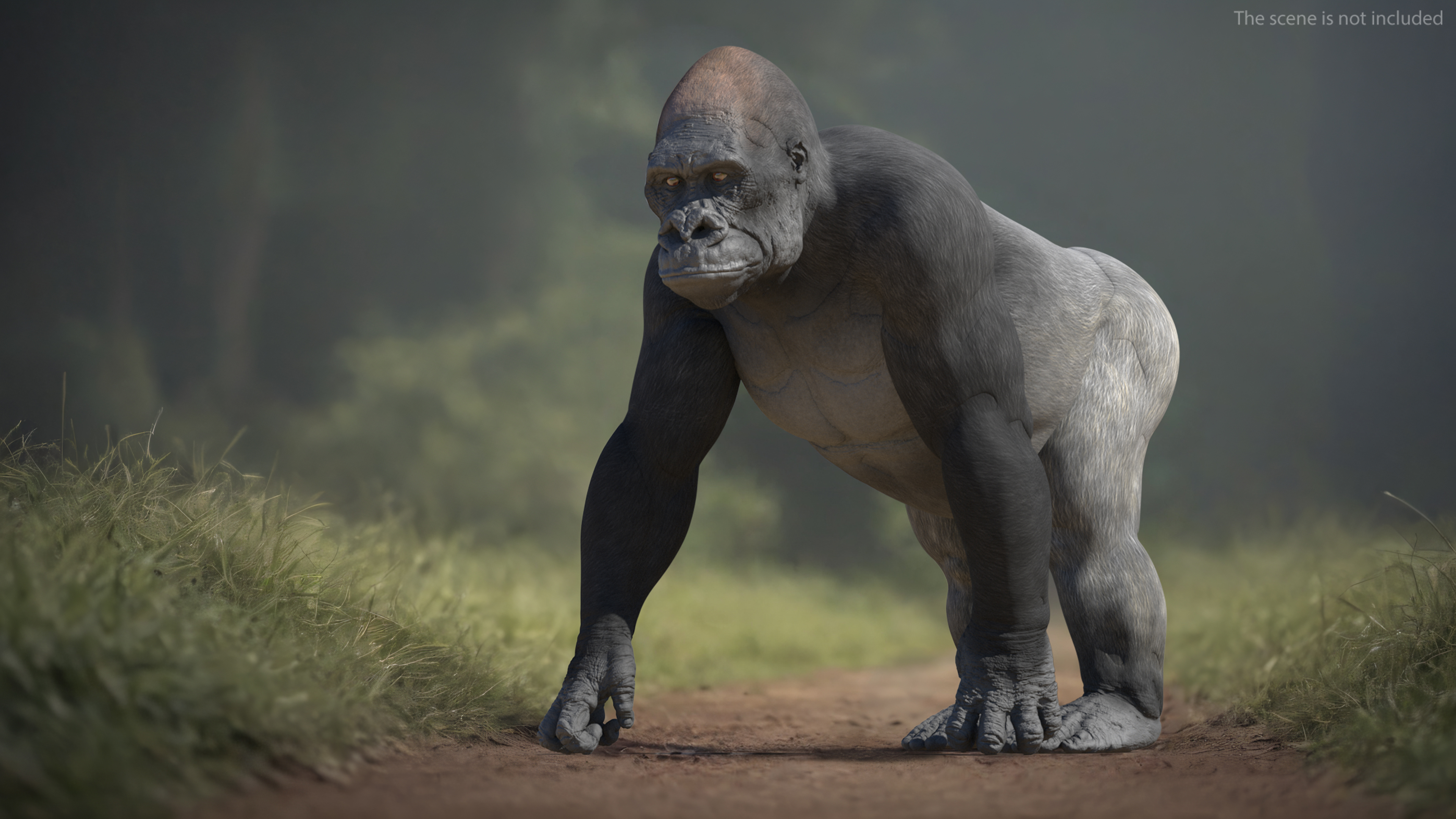 3D Western Gorilla Rigged for Maya