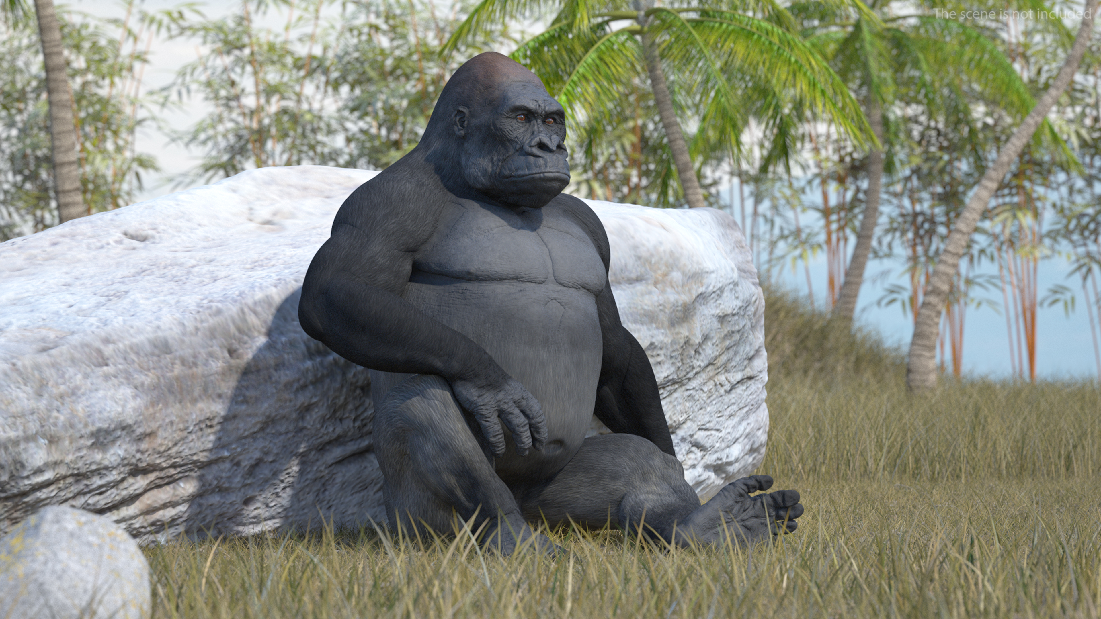 3D Western Gorilla Rigged for Maya