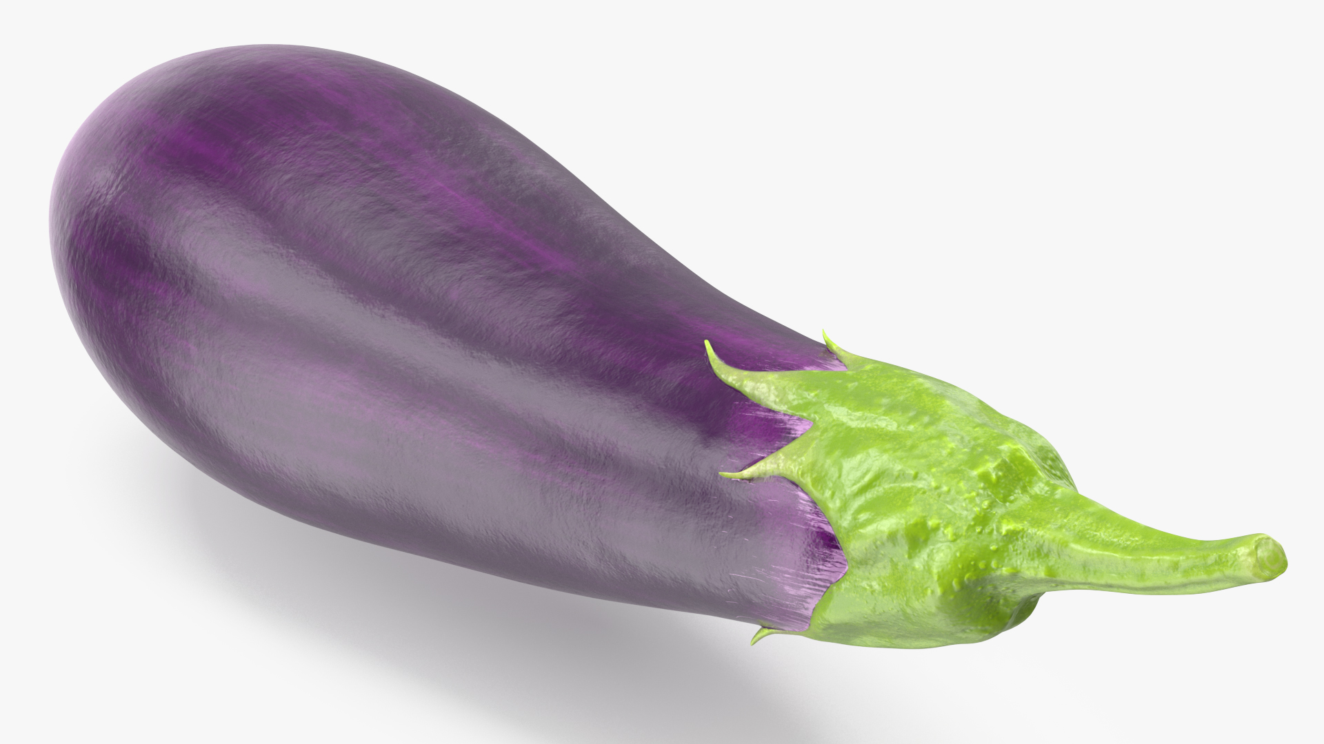 3D Solanum Melongena Eggplant
