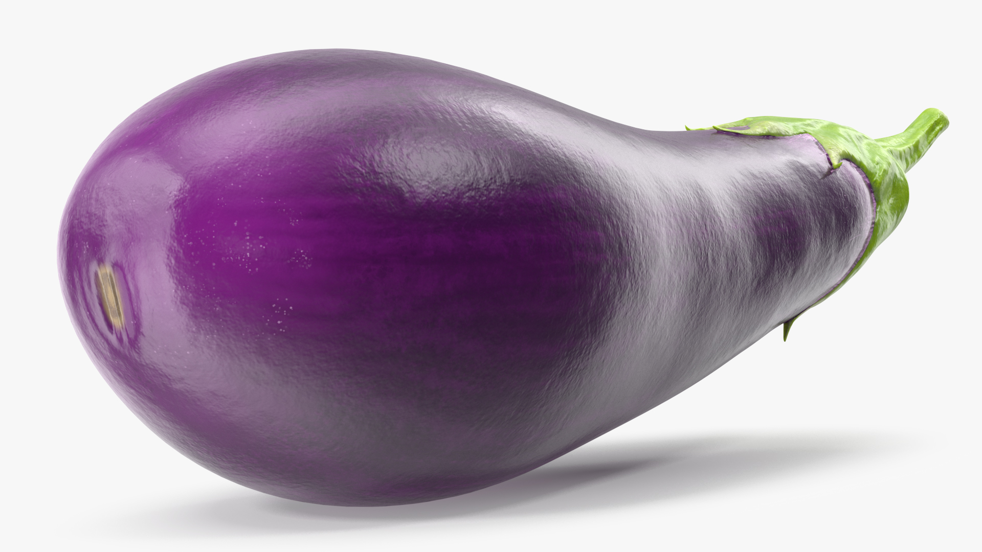 3D Solanum Melongena Eggplant