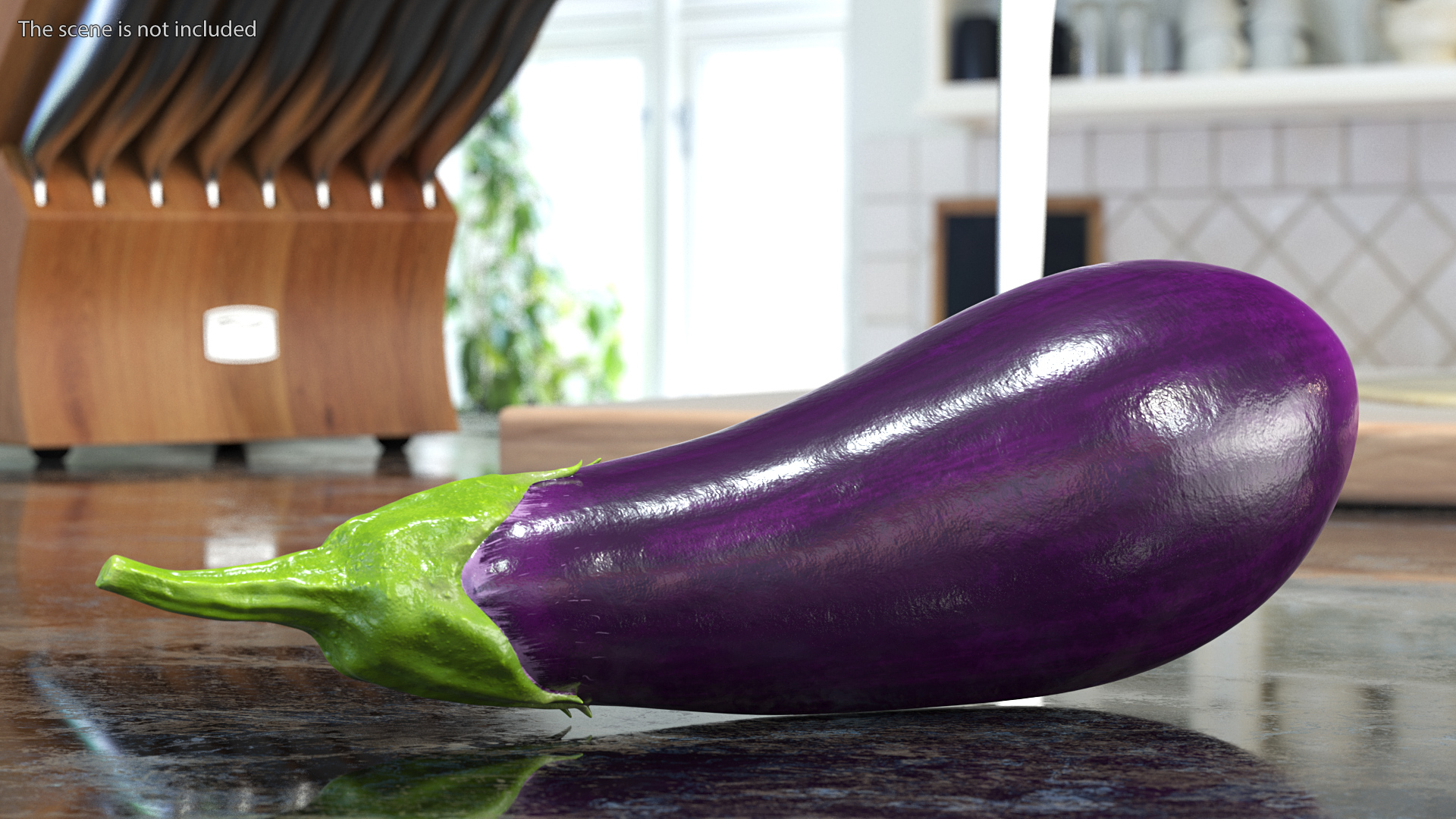 3D Solanum Melongena Eggplant
