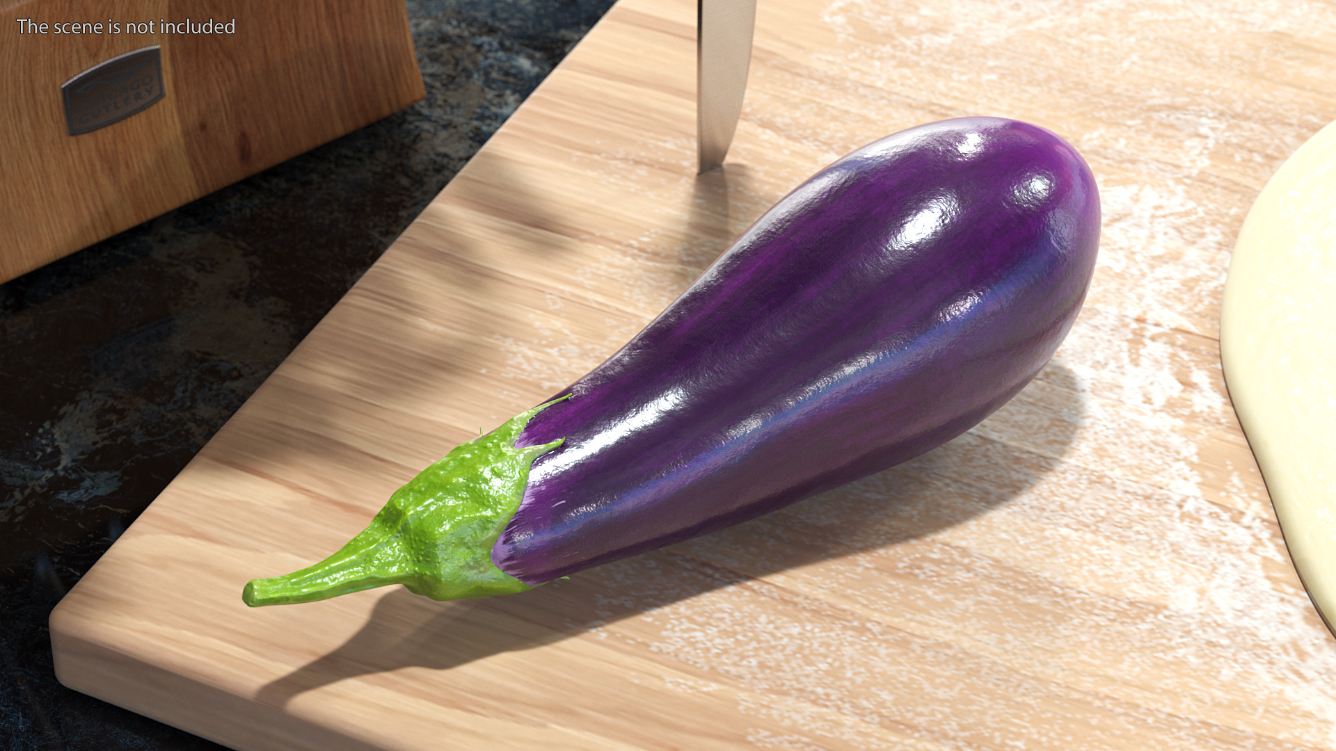 3D Solanum Melongena Eggplant
