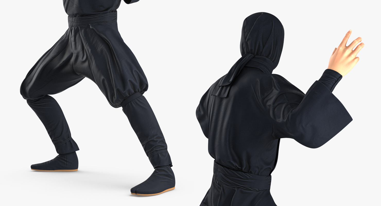 3D model Japan Ninja Fighting Pose