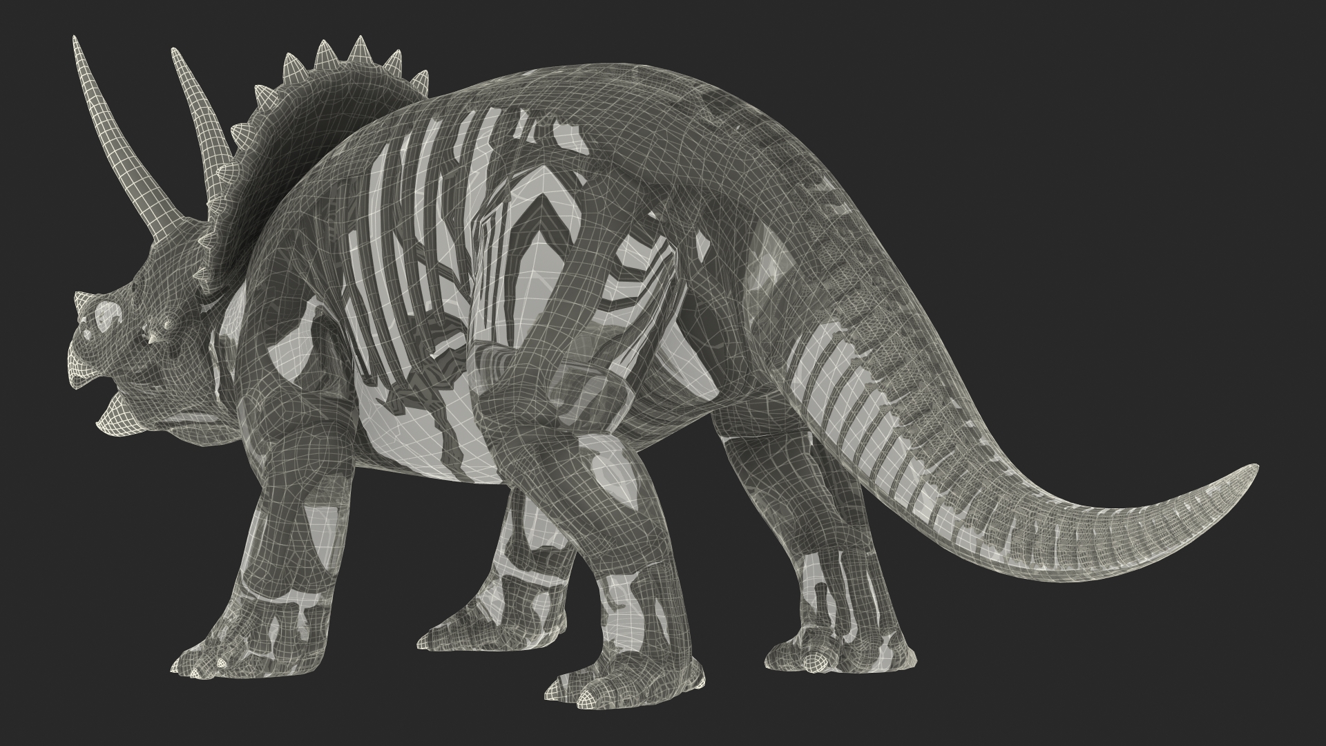 3D Triceratops Skeleton Standing Pose with Transparent Skin