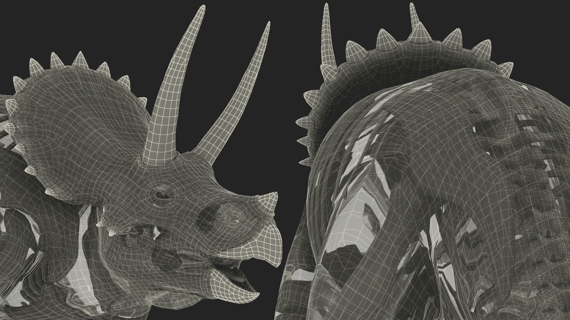 3D Triceratops Skeleton Standing Pose with Transparent Skin