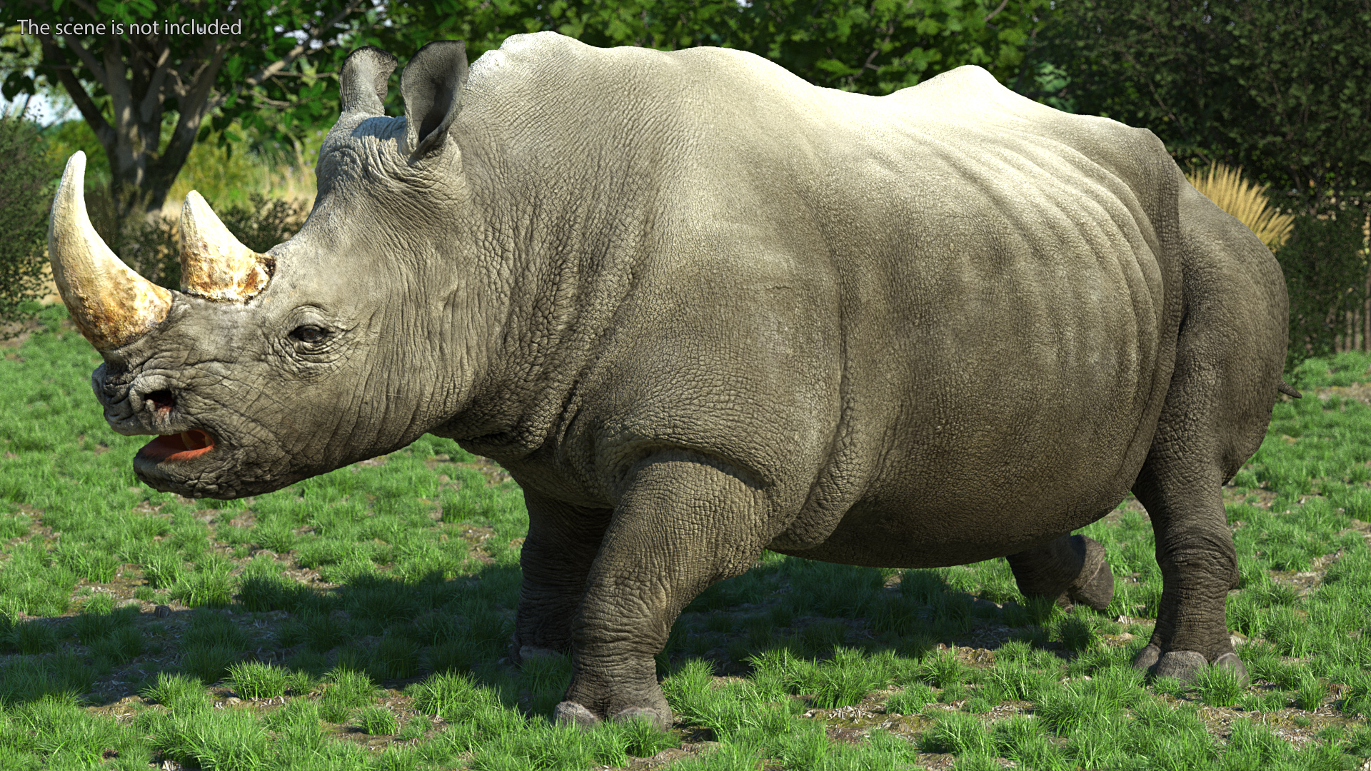 3D Rhino Walking Pose model