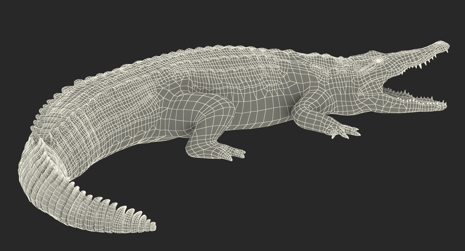 Crocodile Attacks Pose 2 3D model