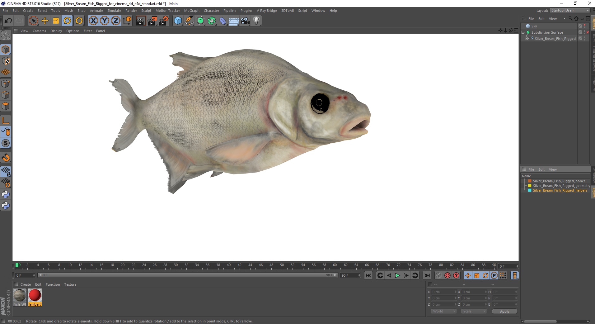 3D Silver Bream Fish Rigged for Cinema 4D model