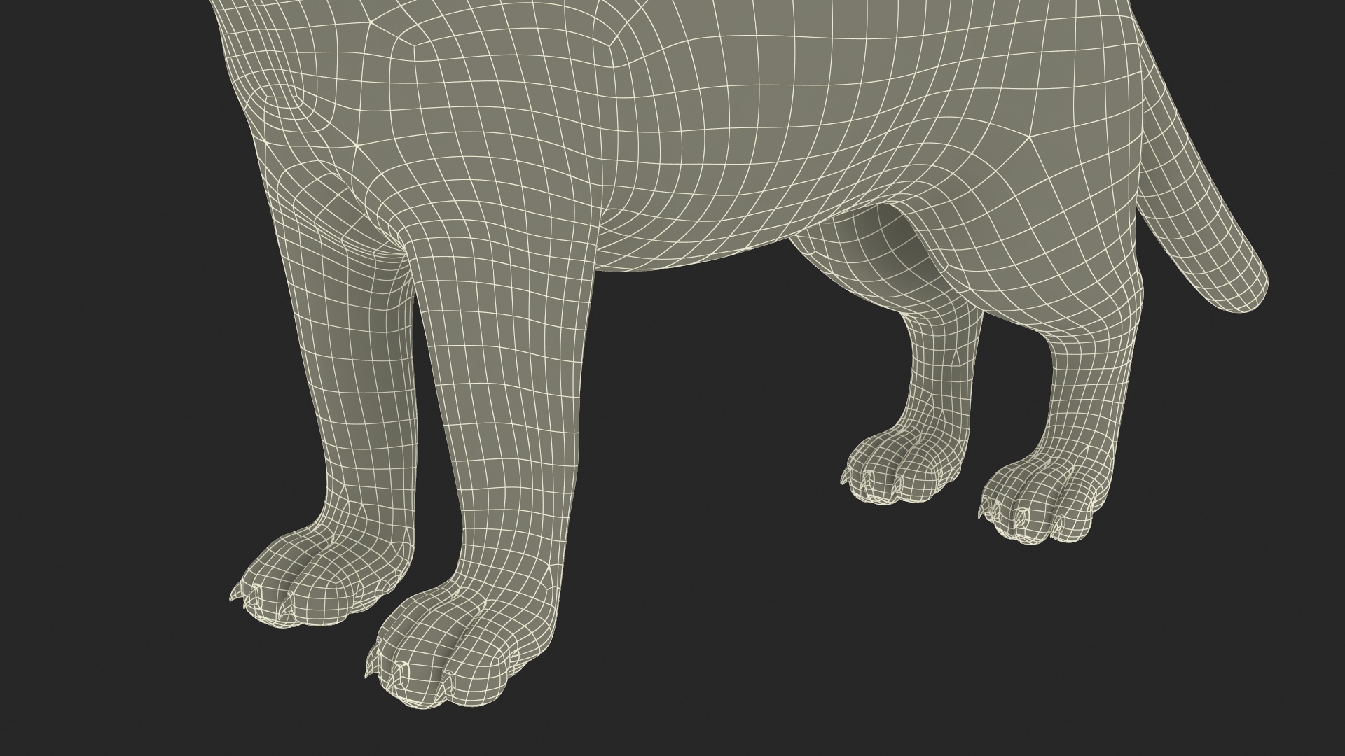 Pallas Cat Fur 3D model