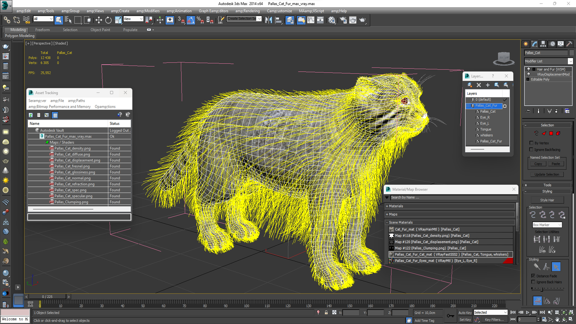 Pallas Cat Fur 3D model