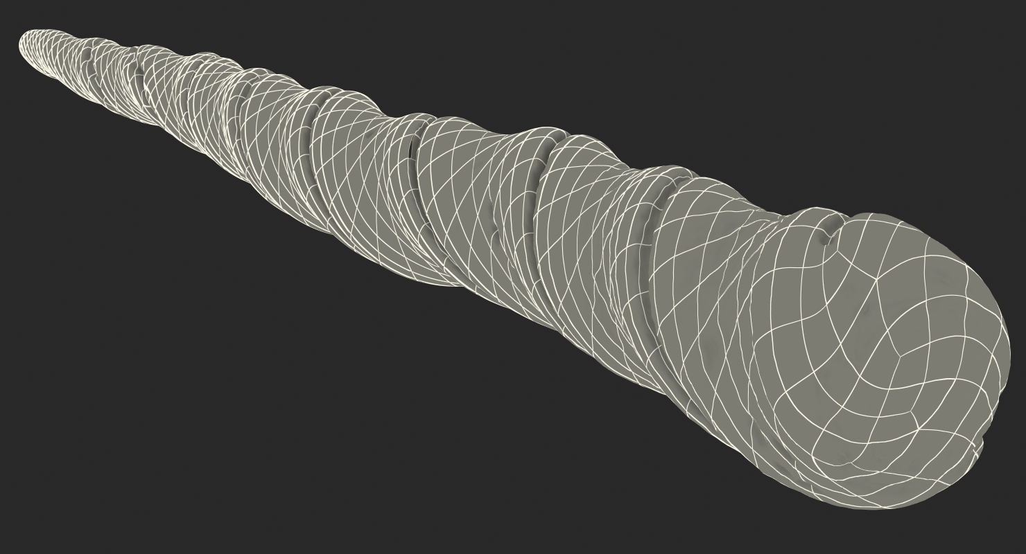 3D model Rainbow Unicorn Horn