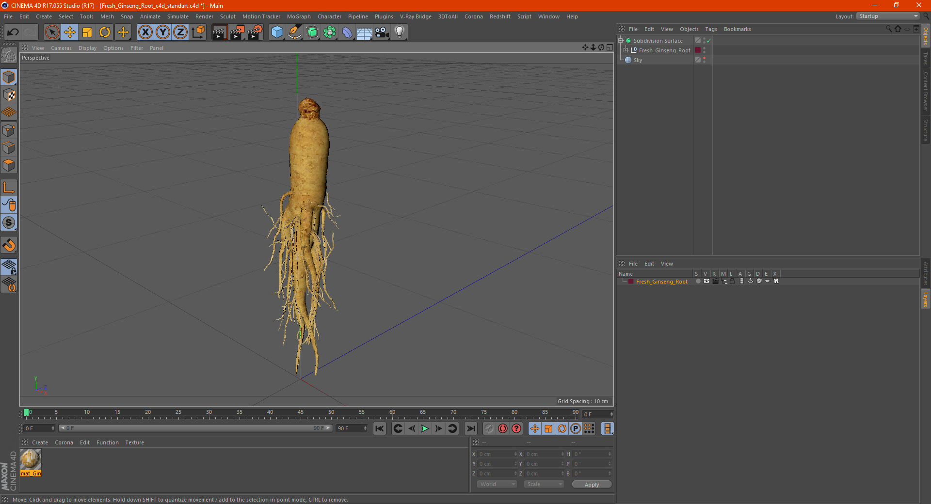 3D Fresh Ginseng Root model