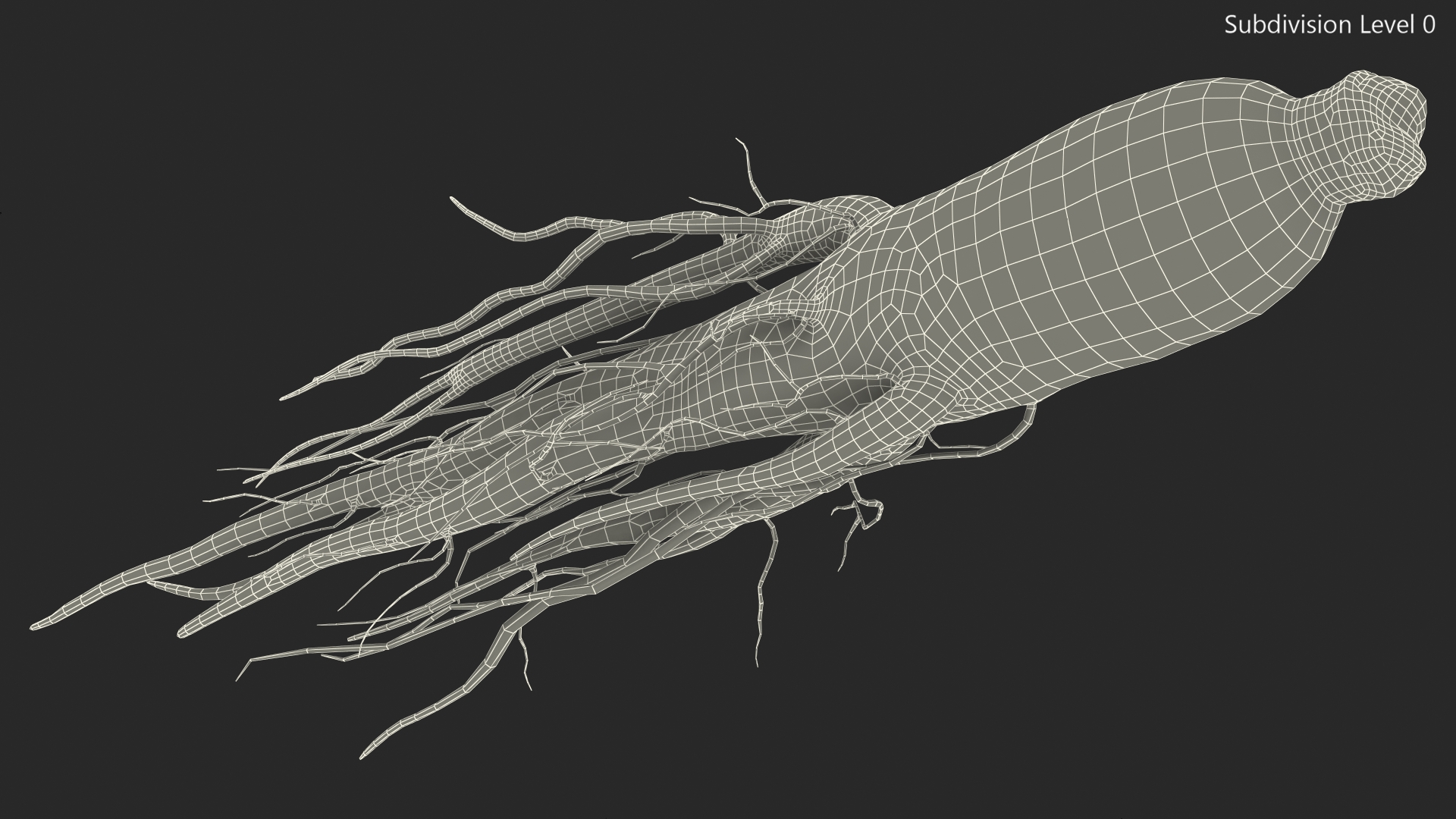 3D Fresh Ginseng Root model